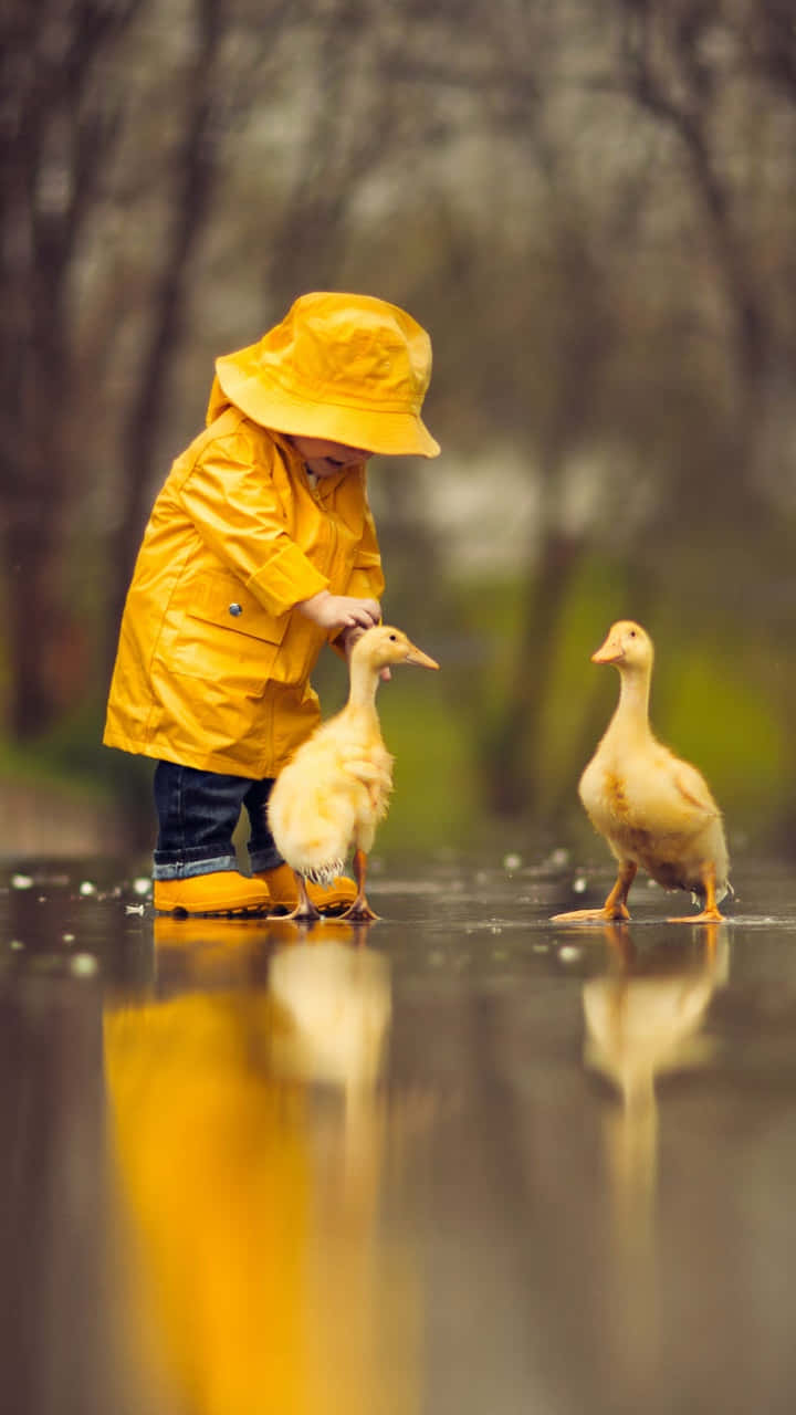 bright yellow raincoat, duckling, wet reflective path, HD Phone Wallpaper