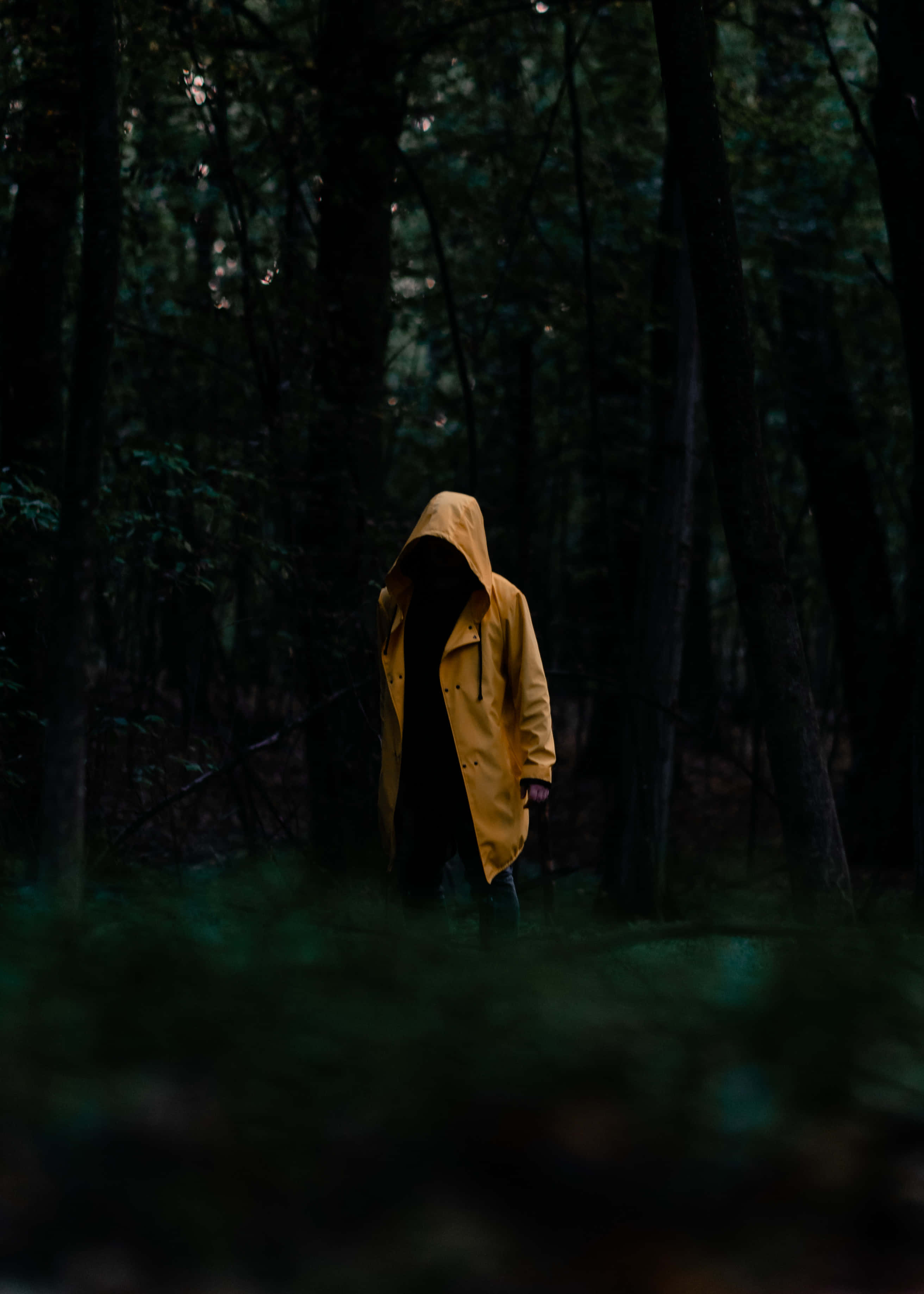 bright yellow raincoat, dark misty forest, towering trees, 2K Phone Wallpaper