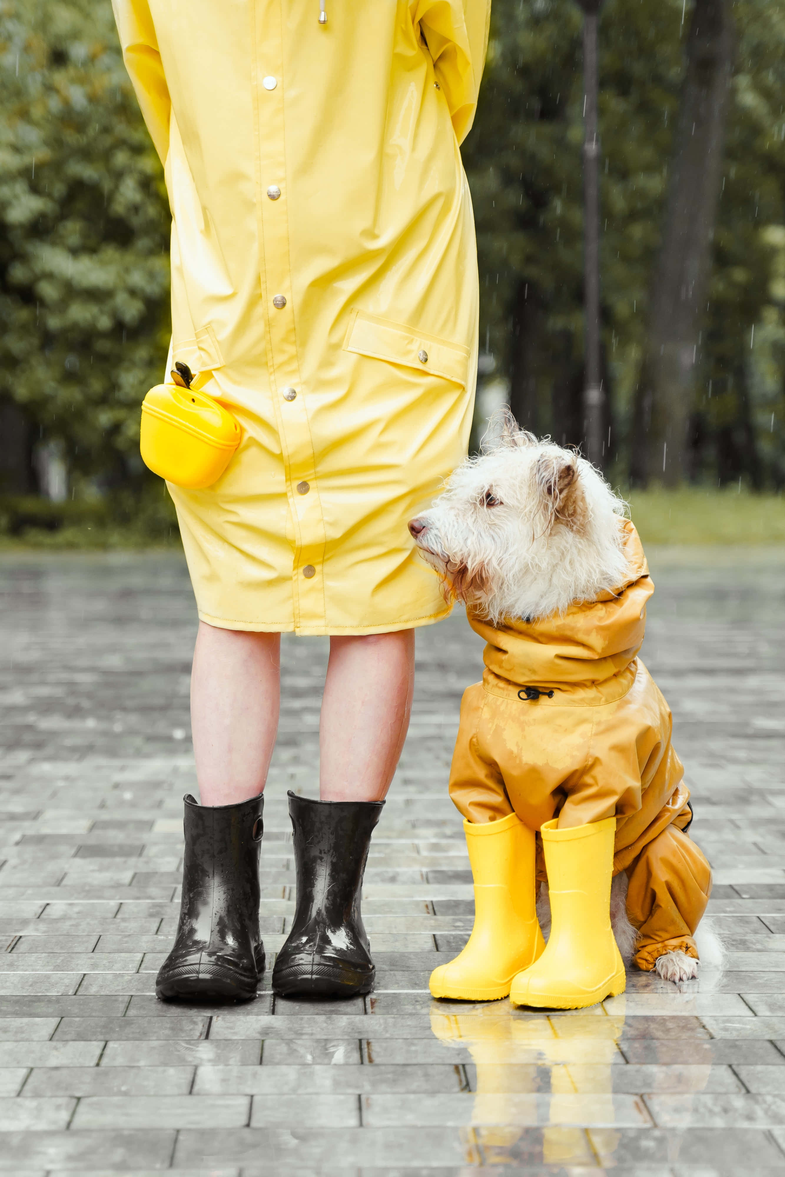 yellow raincoat, black boots, fluffy white dog, 4K Phone Wallpaper