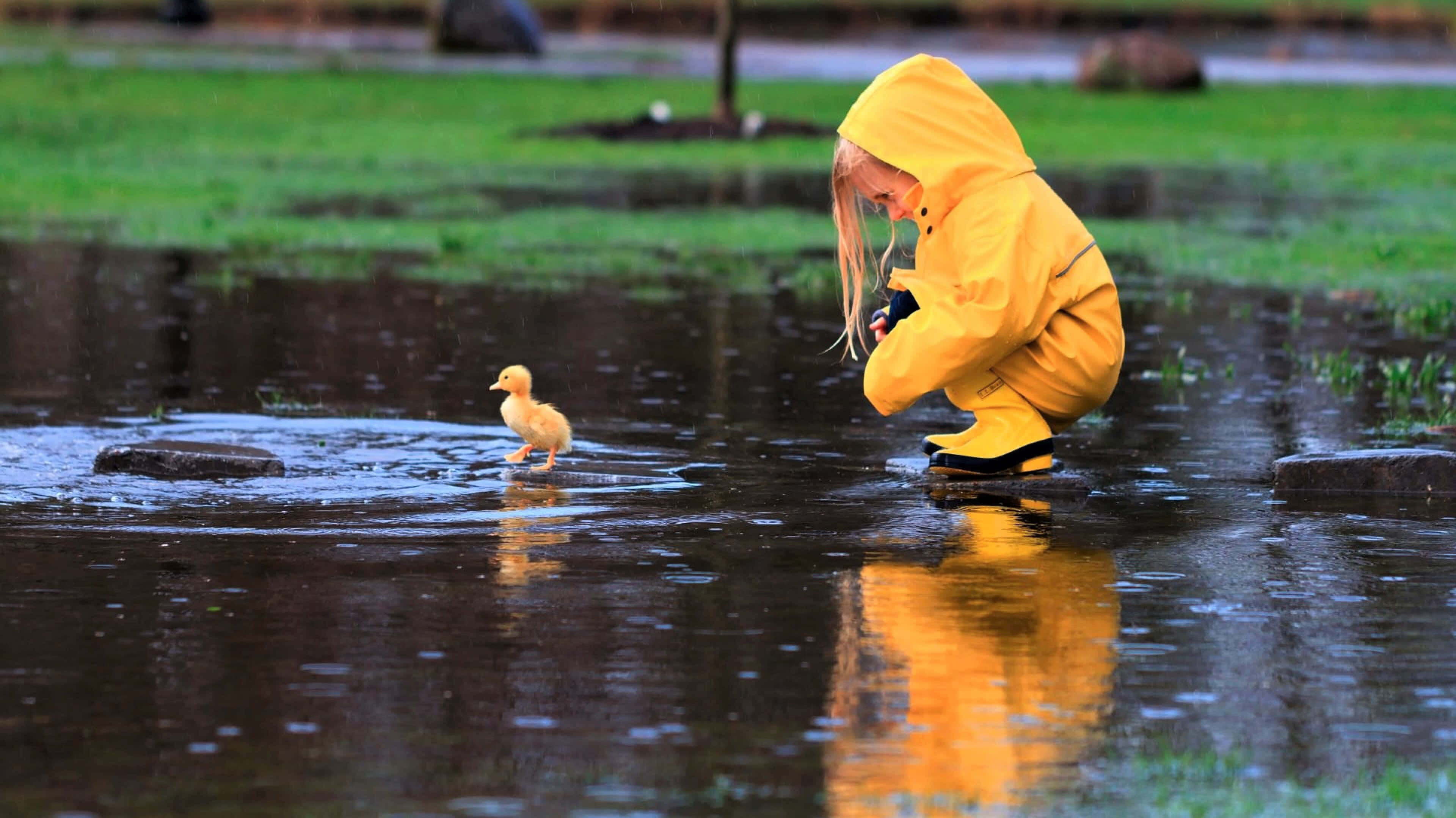 yellow raincoat, bright yellow rain suit, puddle, 4K Desktop Wallpaper