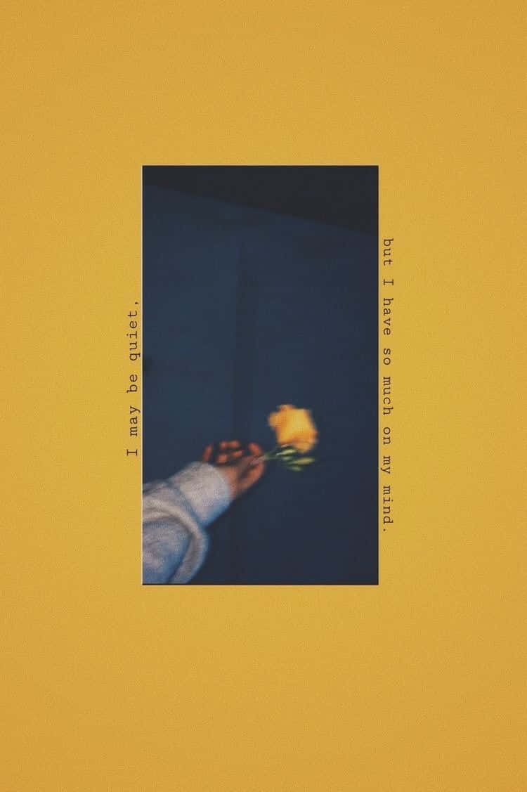 yellow rose, gray sweater, dark blue background, SD Phone Wallpaper
