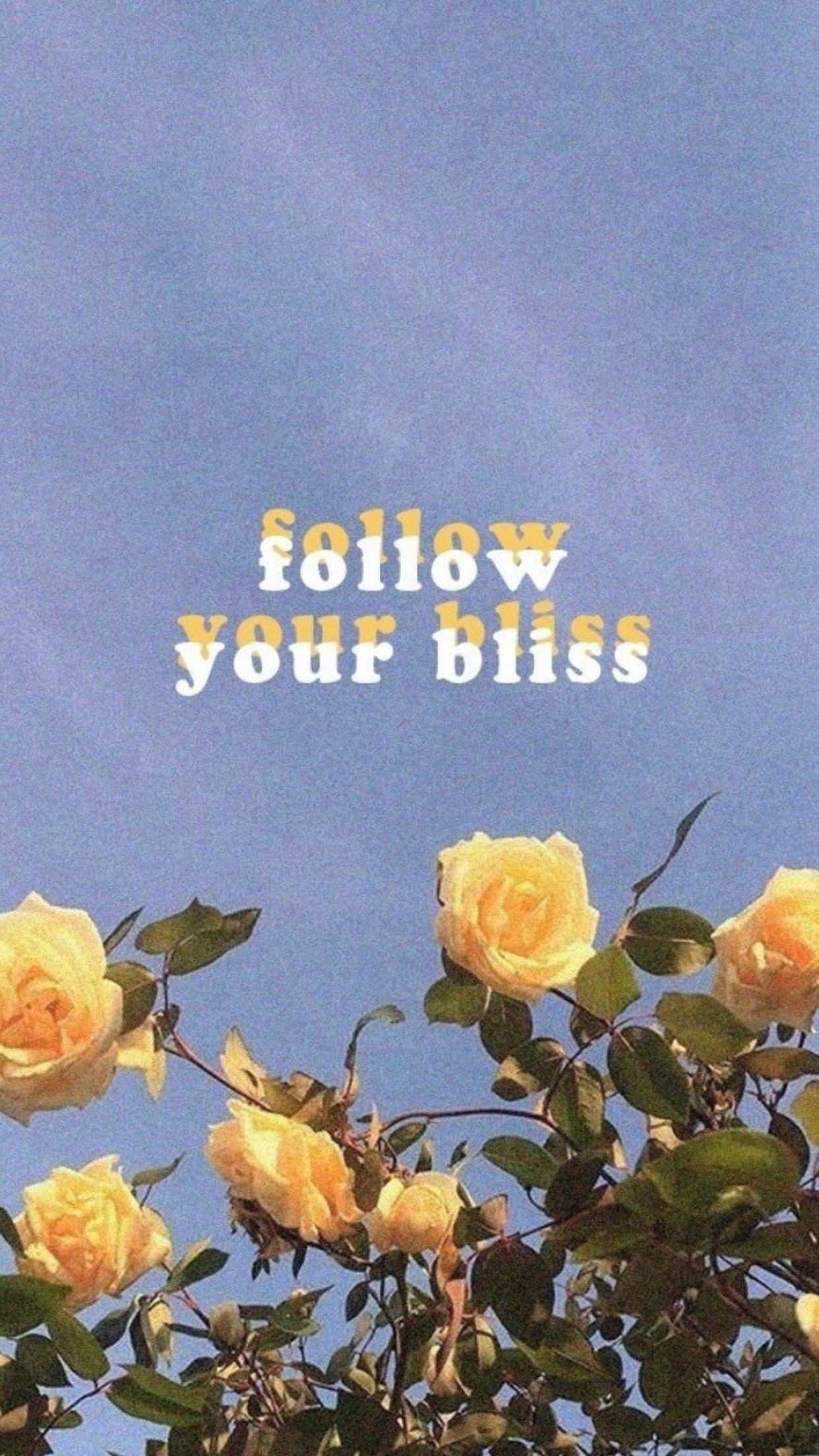 Yellow roses, clear blue sky, follow your bliss, Full HD Phone Wallpaper