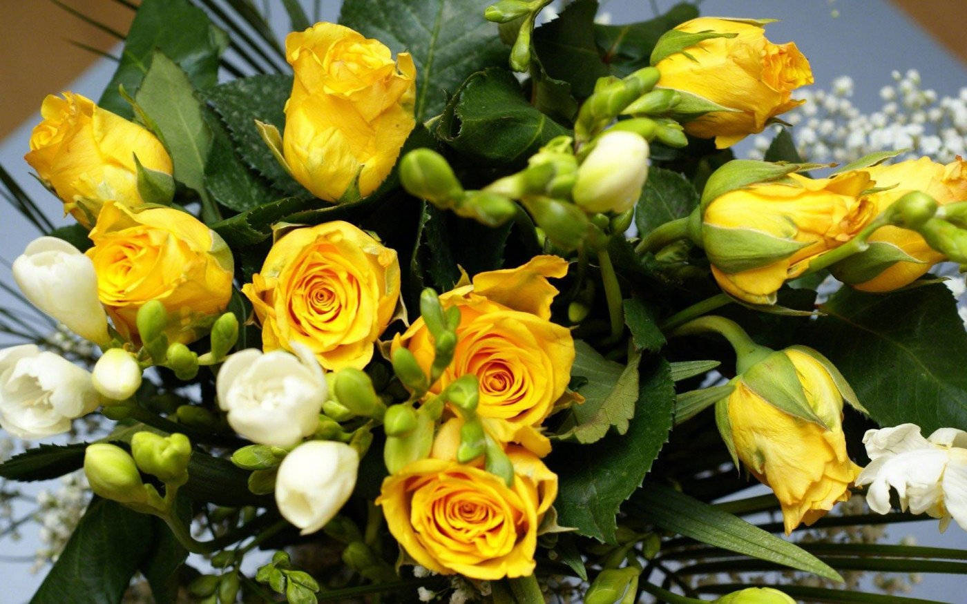 yellow roses, white freesias, lush green leaves, HD Desktop Wallpaper