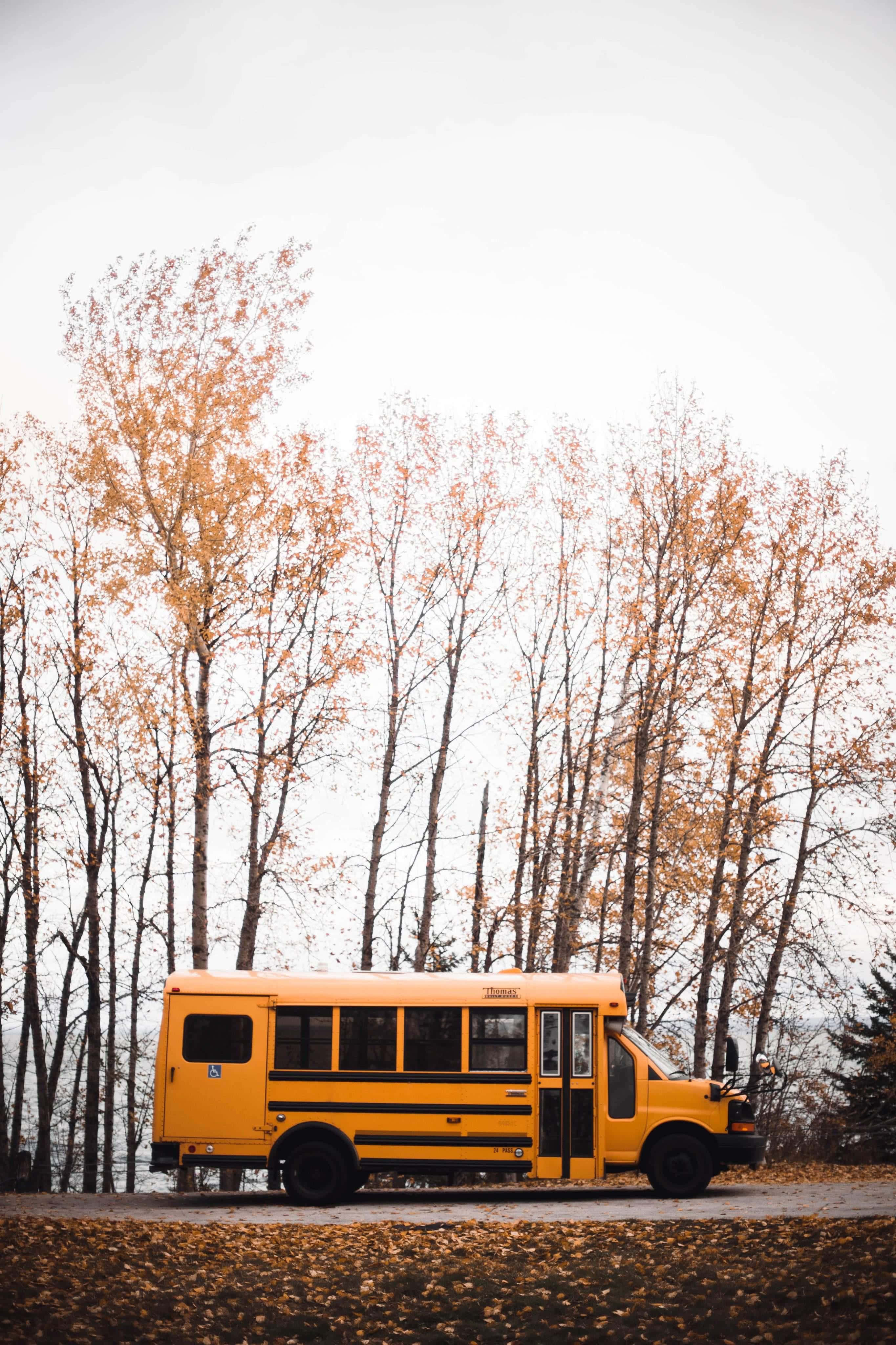 yellow school bus, tall trees, golden autumn leaves, 4K Phone Wallpaper