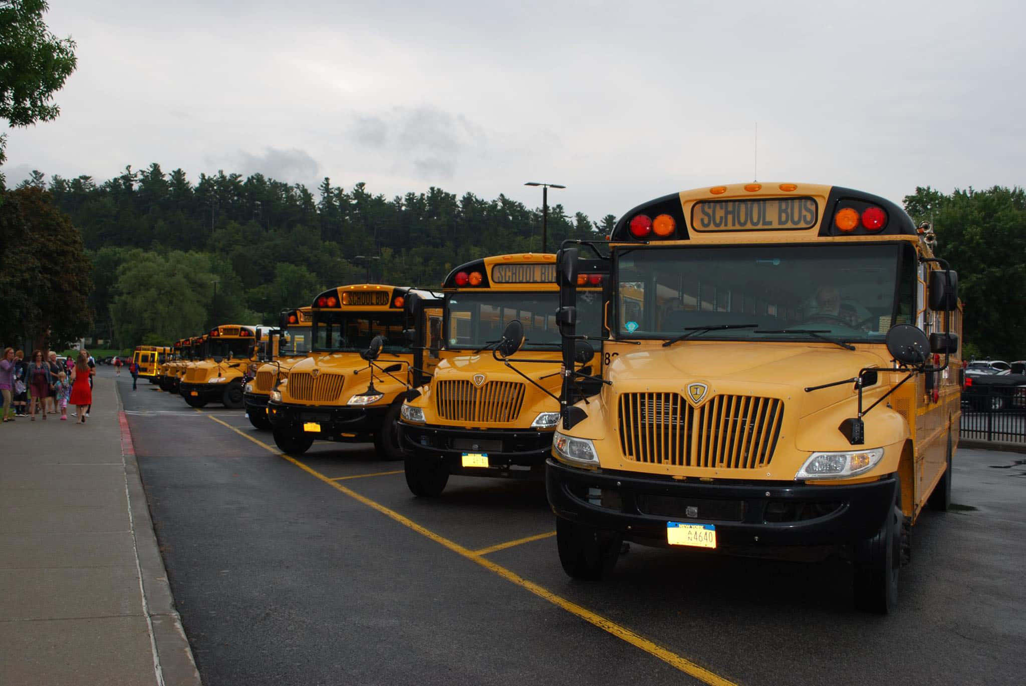 bright yellow school bus, school buses, lot, Full HD Desktop Wallpaper