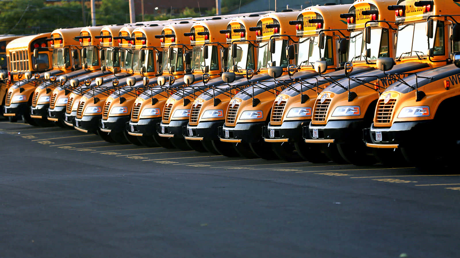 Yellow School Bus, bright yellow, warm sunlight, HD Desktop Wallpaper