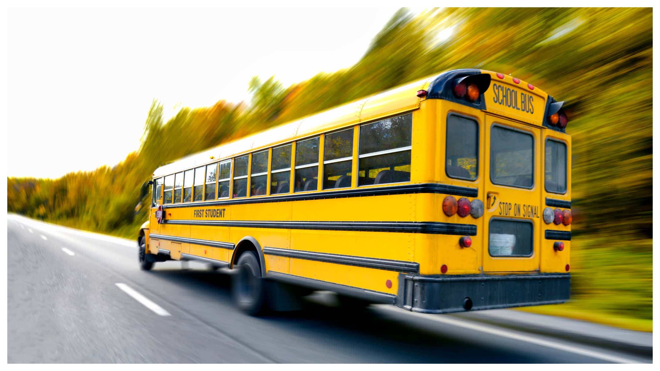 yellow school bus, sunny day, autumn trees, Full HD Desktop Wallpaper
