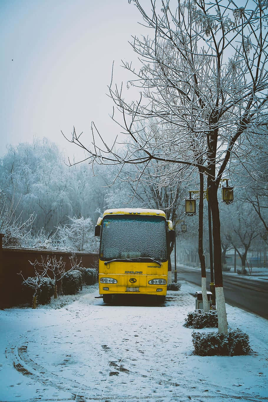 Yellow School Bus, snow-covered street, frosty bare trees, HD Phone Wallpaper