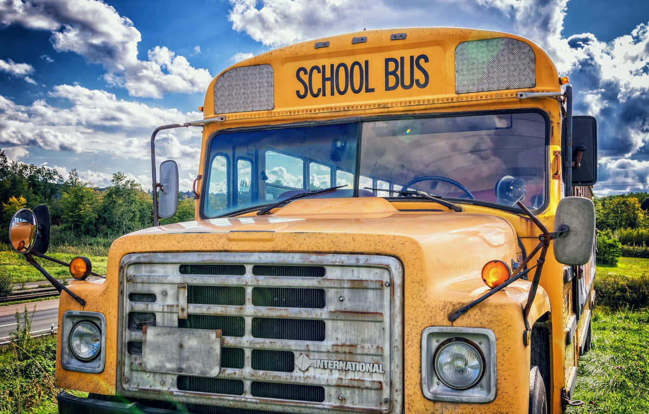 yellow school bus, rust, grass, HD Desktop Wallpaper