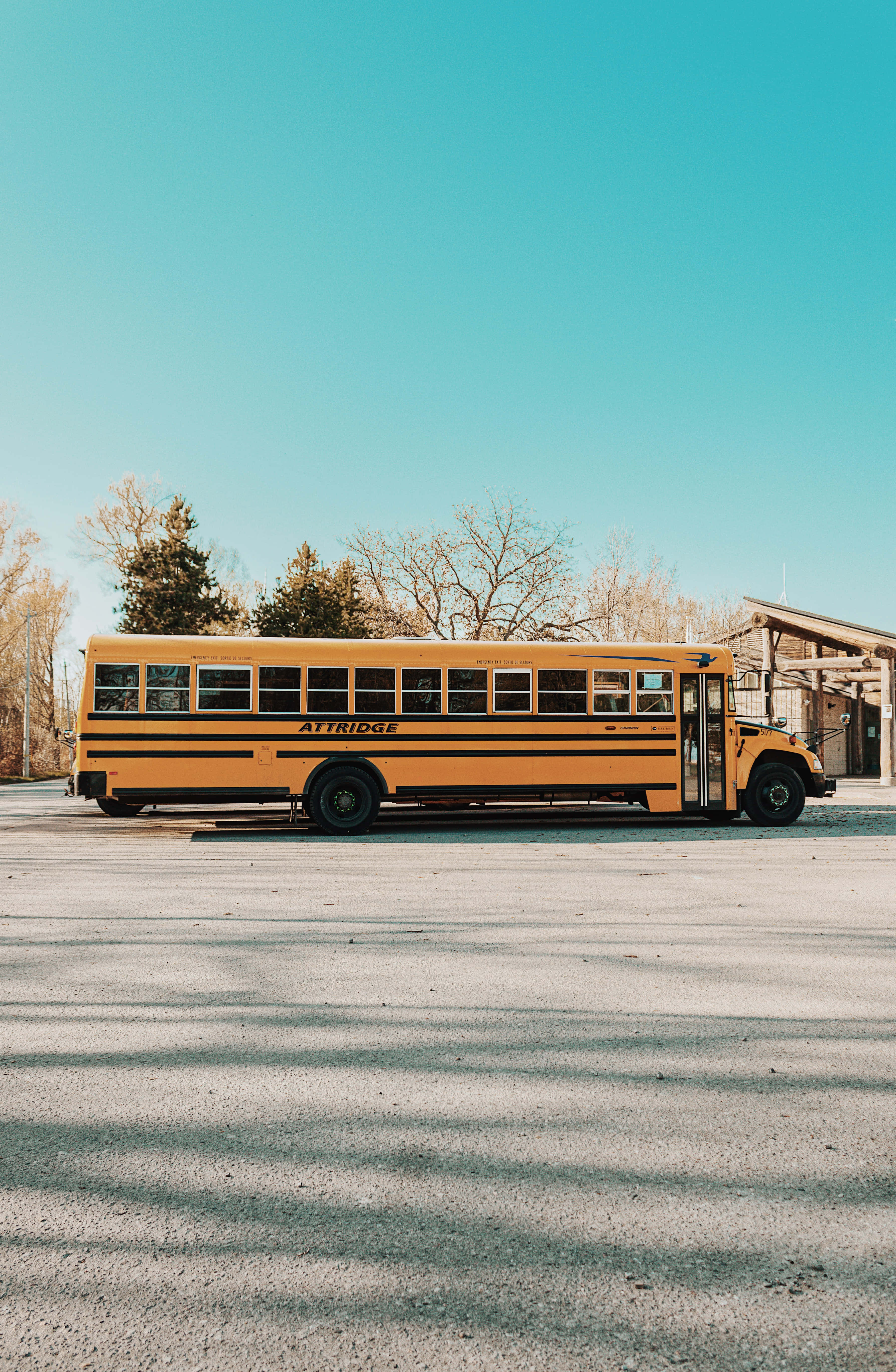yellow school bus, sunlit asphalt lot, clear blue sky, 5K Phone Wallpaper