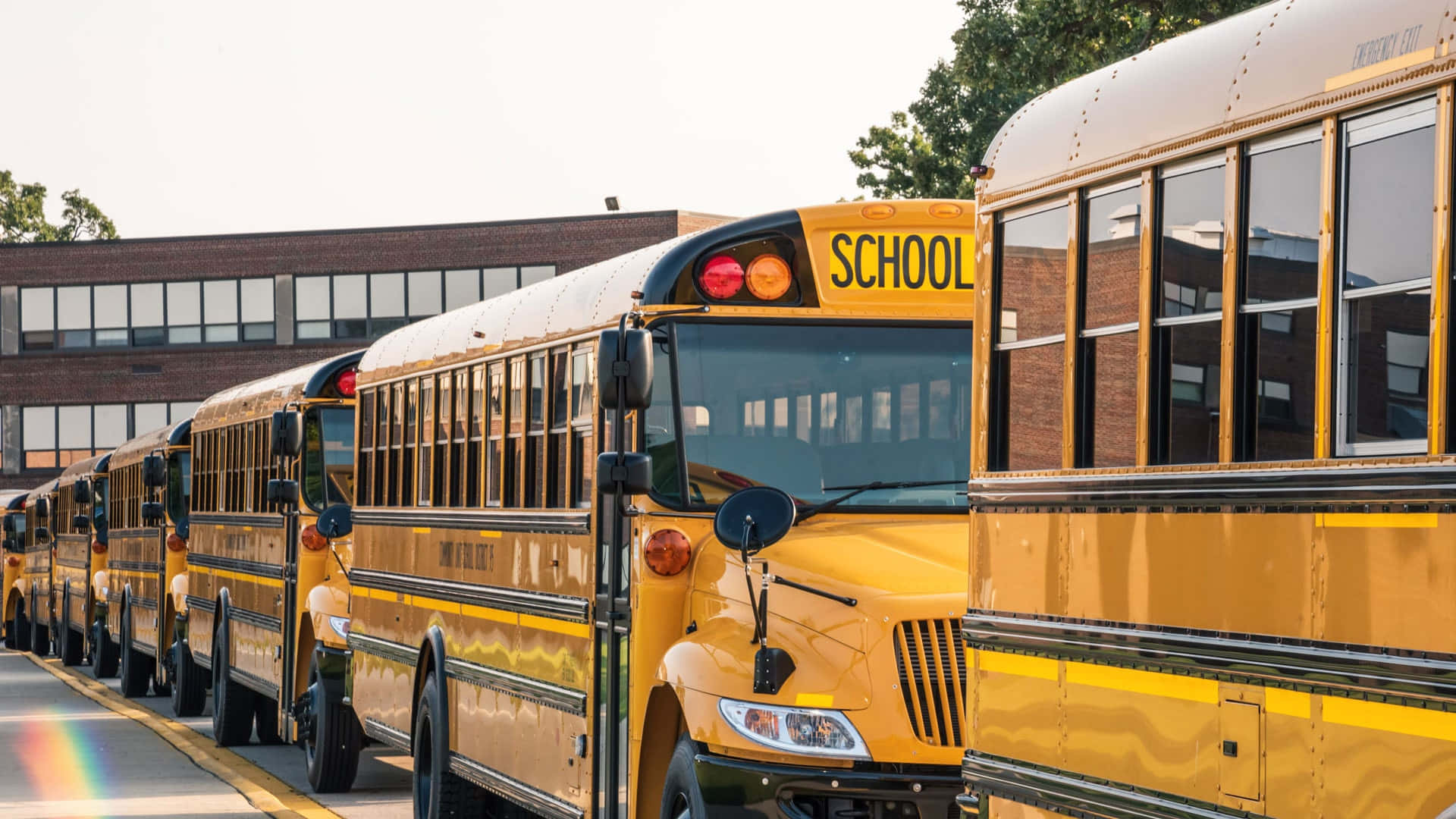 yellow school bus, brick school building, bright daylight, Full HD Desktop Wallpaper