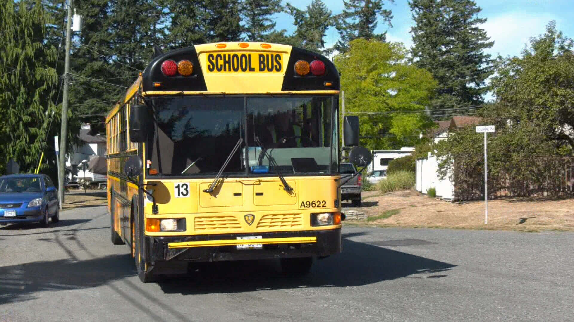 yellow school bus, number 13, tree-lined suburban street, Full HD Desktop Wallpaper
