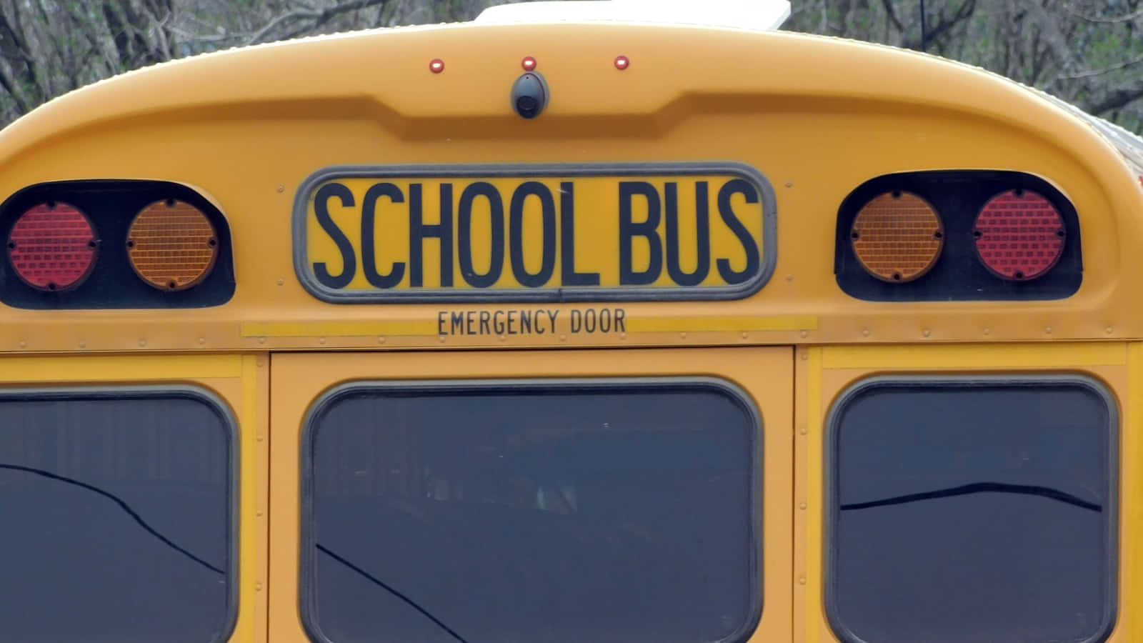 yellow school bus, SCHOOL BUS sign, emergency door, HD Desktop Wallpaper