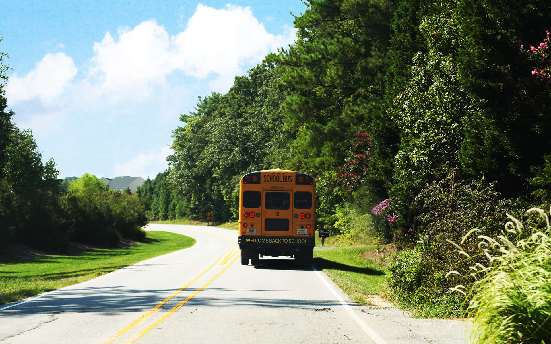 yellow school bus, winding rural road, lush green trees, Full HD Desktop Wallpaper