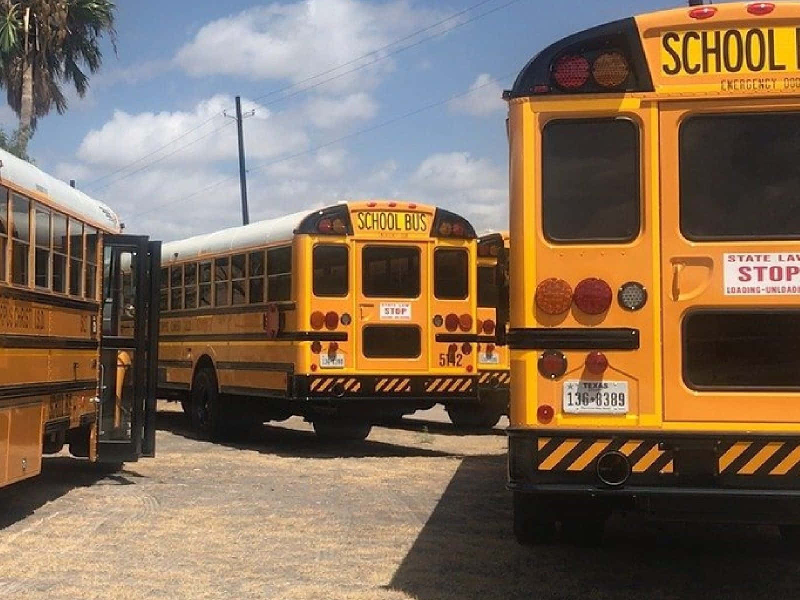 school bus, bright yellow, palm trees, HD Desktop Wallpaper