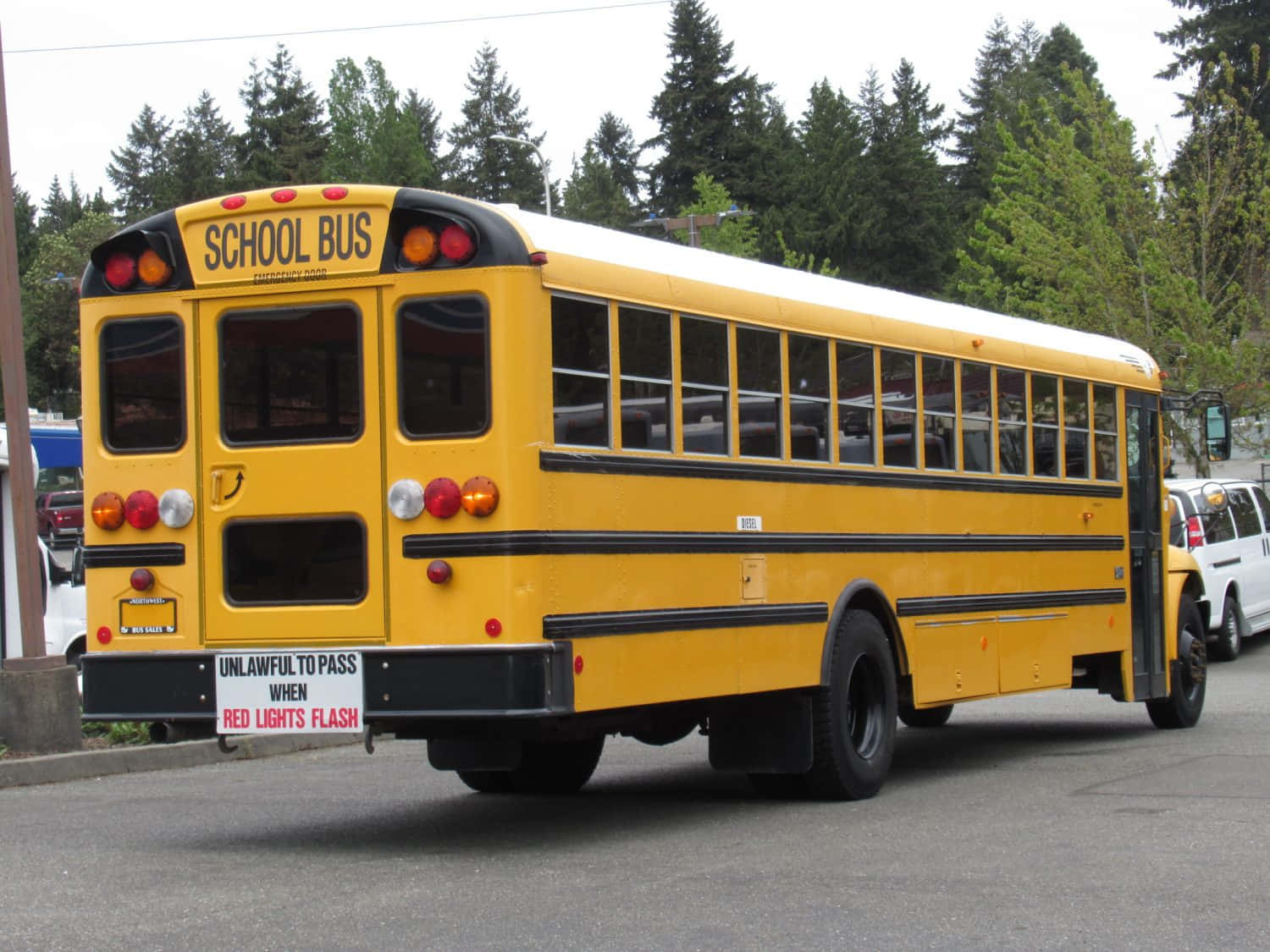 yellow school bus, evergreen trees, street, HD Desktop Wallpaper