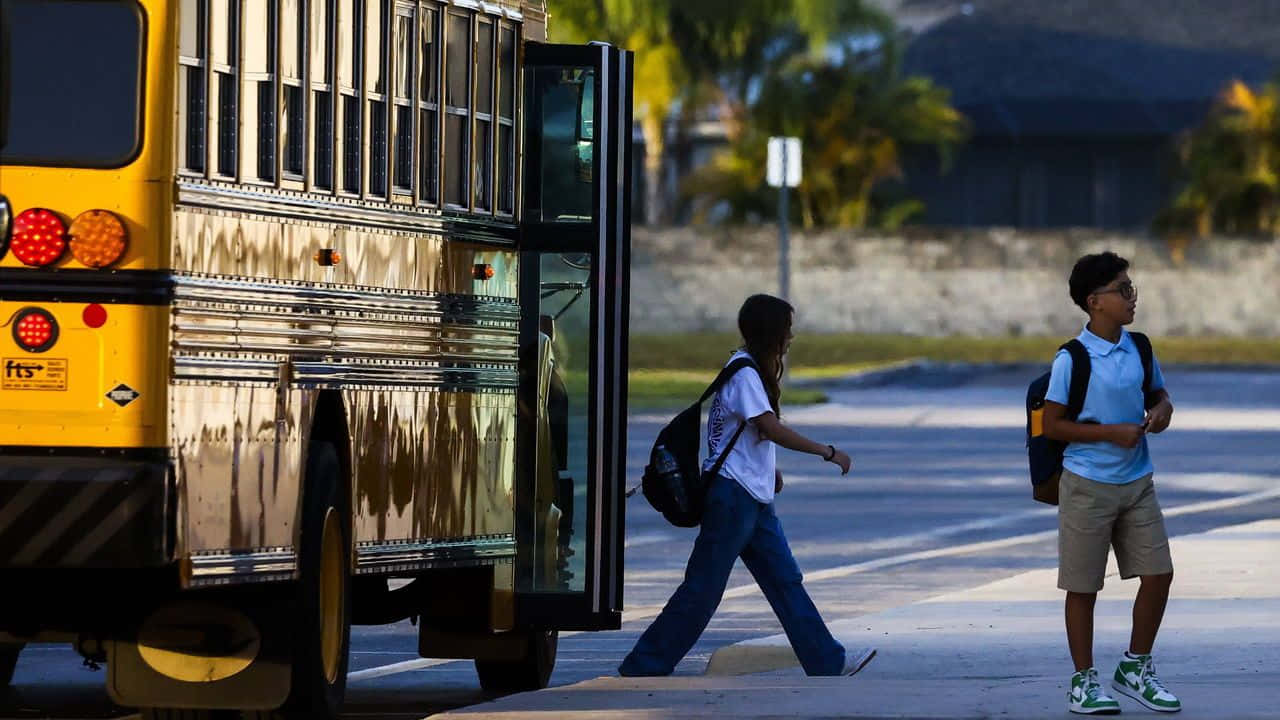 yellow school bus, sunny street, palm trees, HD Desktop Wallpaper