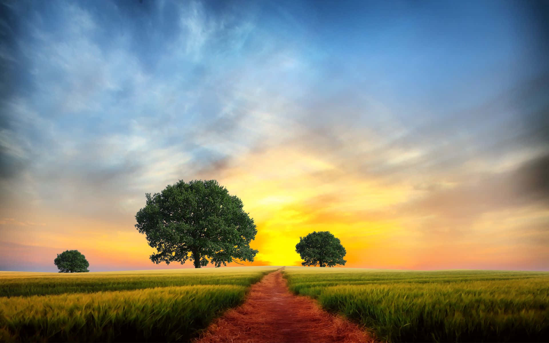 Yellow Sky, 1920 x 1200, sunset, Full HD Desktop Wallpaper