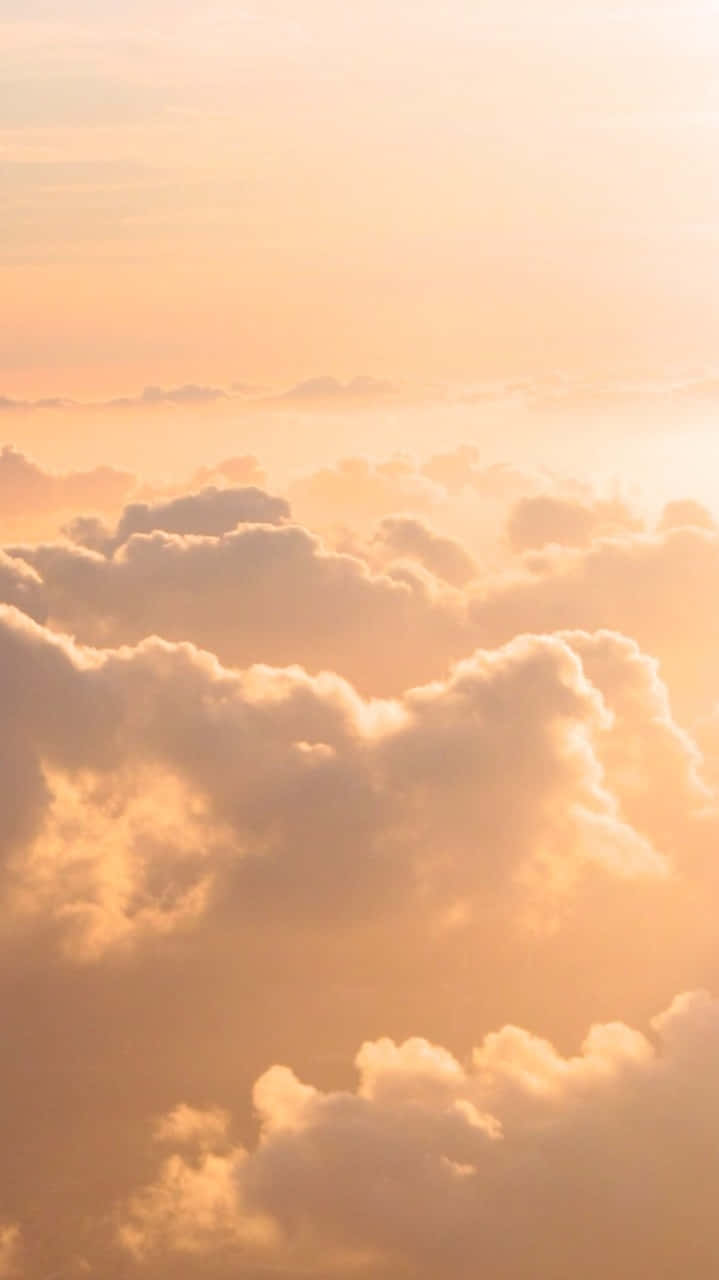 Yellow Sky, sunrise, sunset, HD Phone Wallpaper