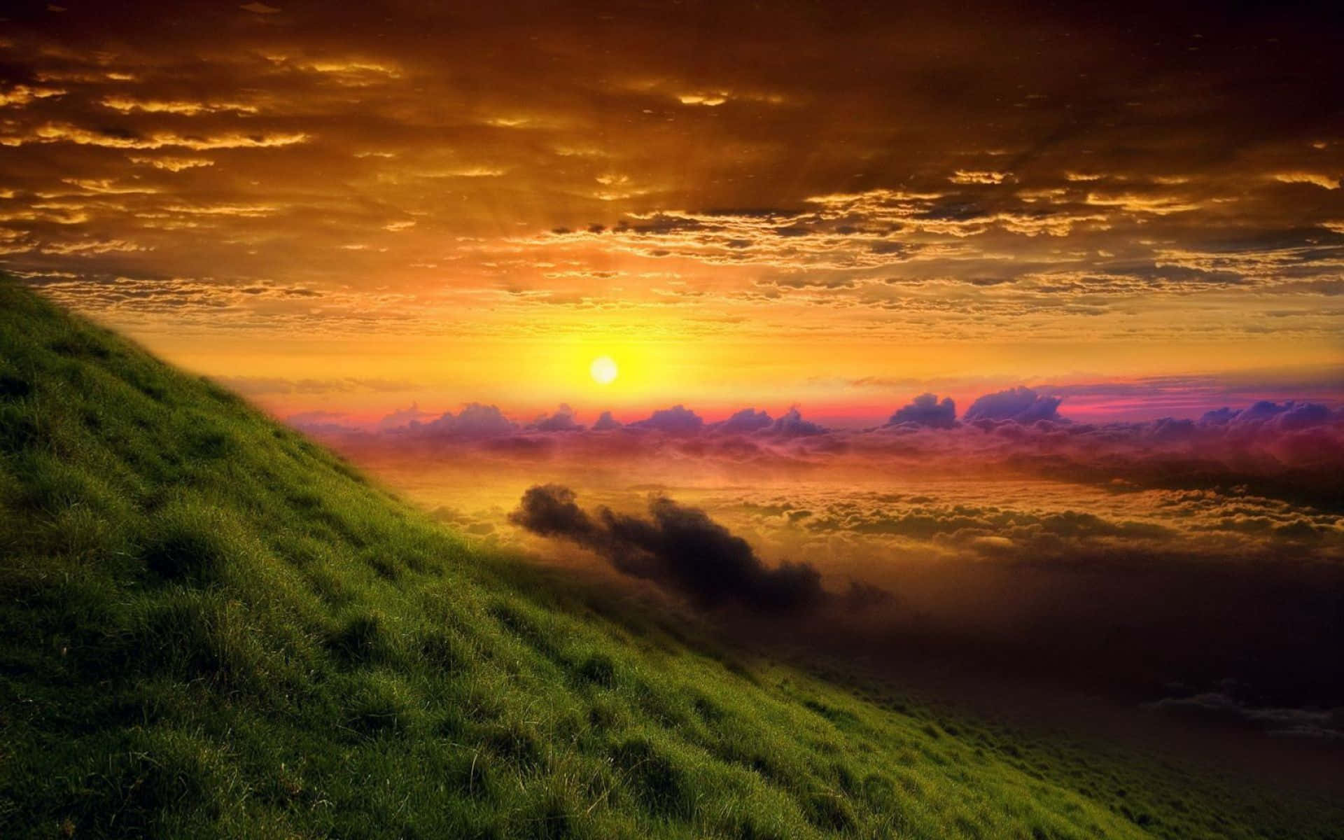 Yellow Sky, Sunset, grassy hill, Full HD Desktop Wallpaper