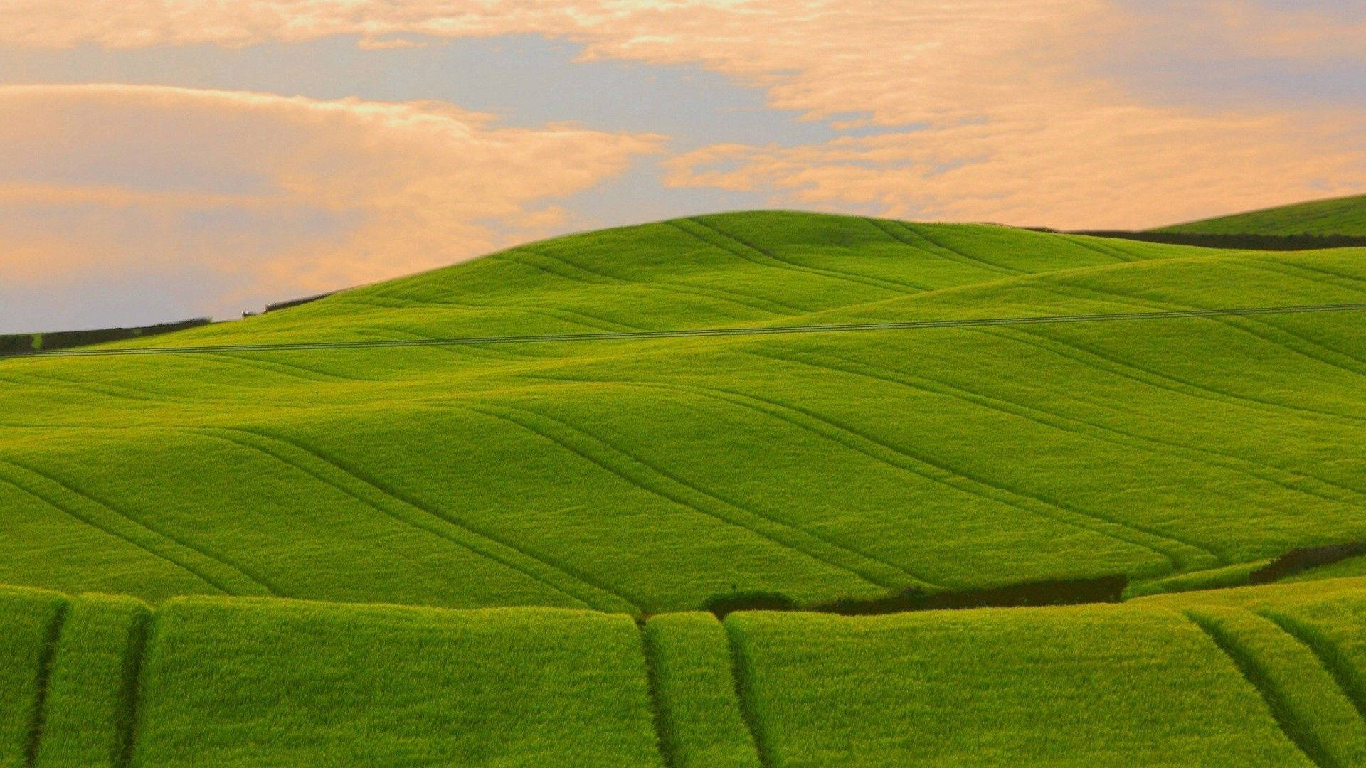 emerald green hills, neat crop rows, soft golden sunset sky, Full HD Desktop Wallpaper