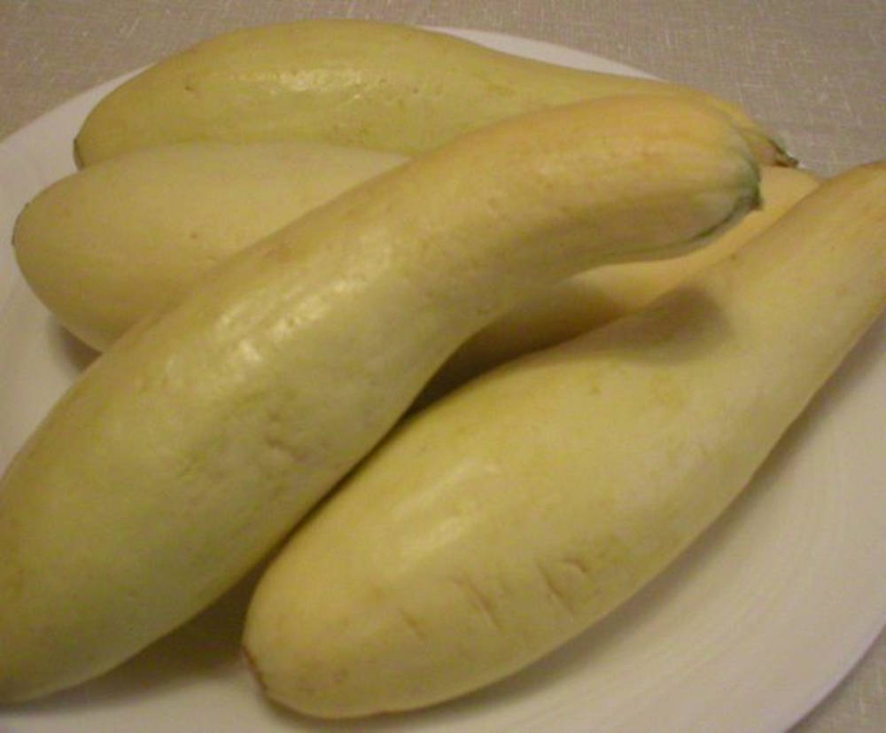yellow squash, white plate, textured beige background, SD Desktop Wallpaper