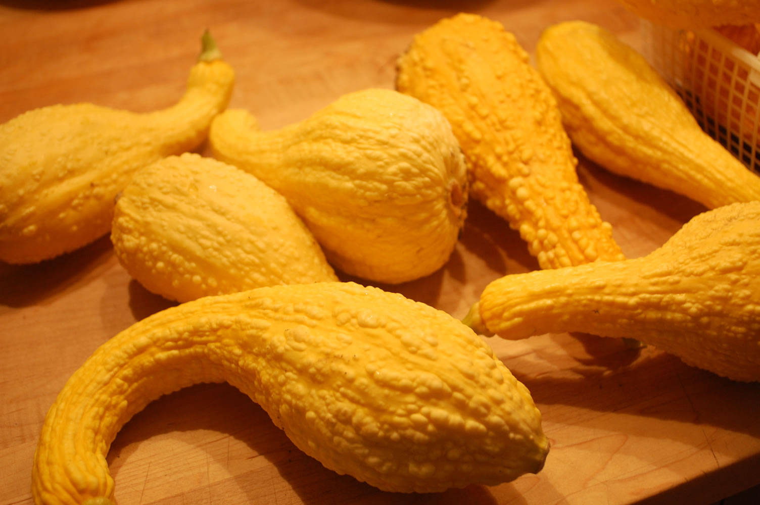 wrinkly yellow squash, pattypan squash, golden yellow, HD Desktop Wallpaper