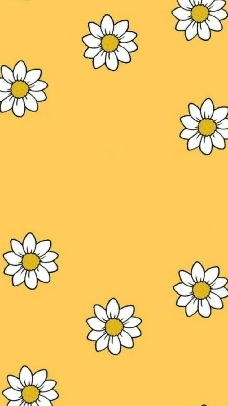 mustard yellow, white daisies, yellow centers, HD Phone Wallpaper