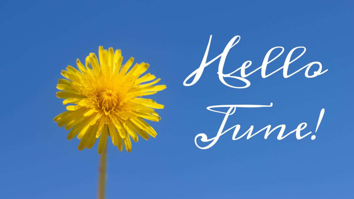 Hello June, yellow dandelion, blue sky, SD Desktop Wallpaper