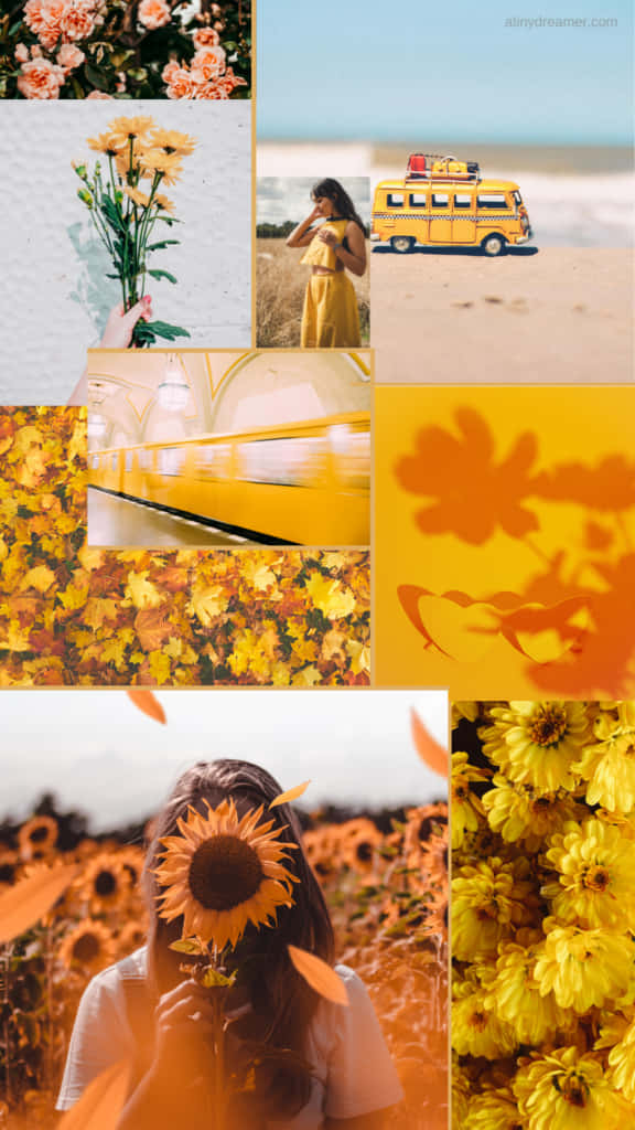 Yellow Sunflower Aesthetic, sunflowers, woman in a field, SD Phone Wallpaper