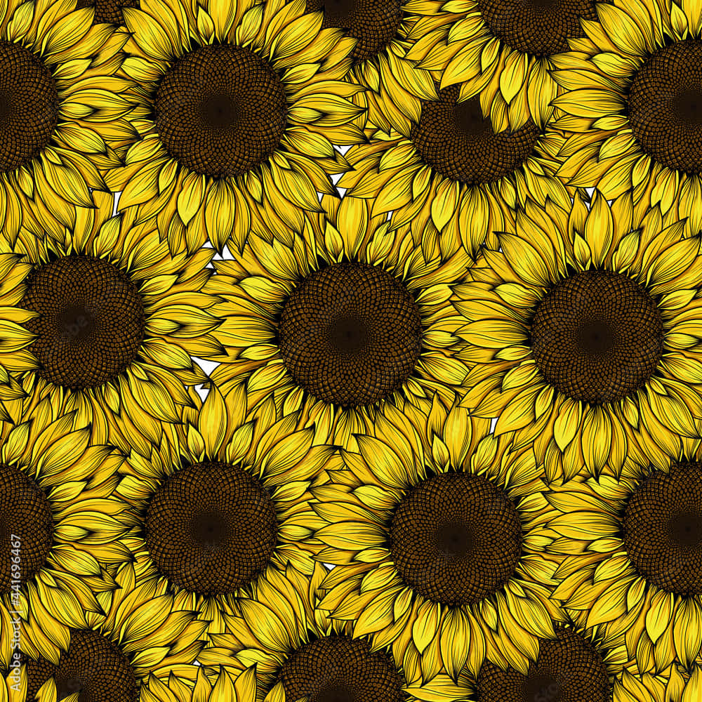 yellow sunflower, vibrant yellow, dark centers, SD Desktop Wallpaper