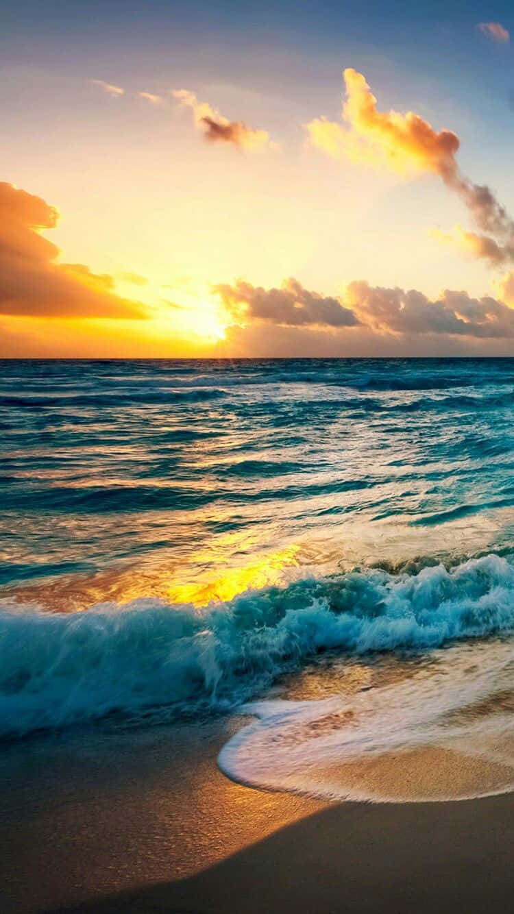 Yellow Sunset, sandy shore, ocean, HD Phone Wallpaper
