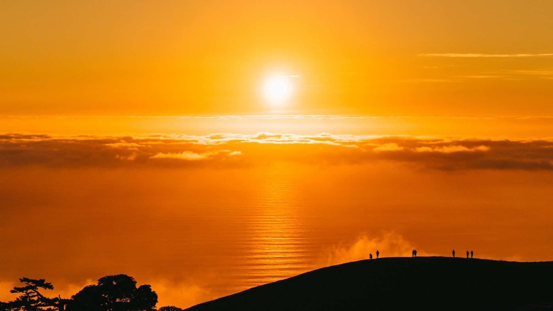 Yellow Sunset, 1920 x 1080, golden clouds, Full HD Desktop Wallpaper