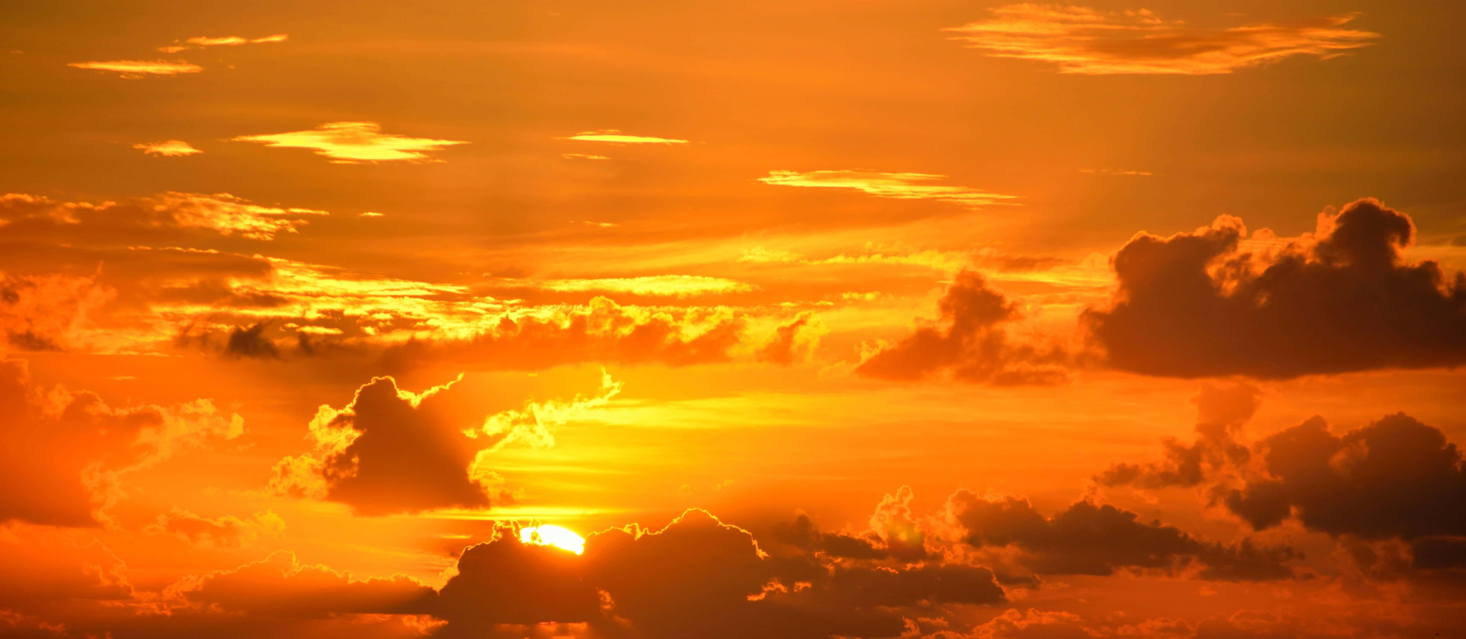 Yellow Sunset, horizon, fiery sunset, 4K Desktop Wallpaper