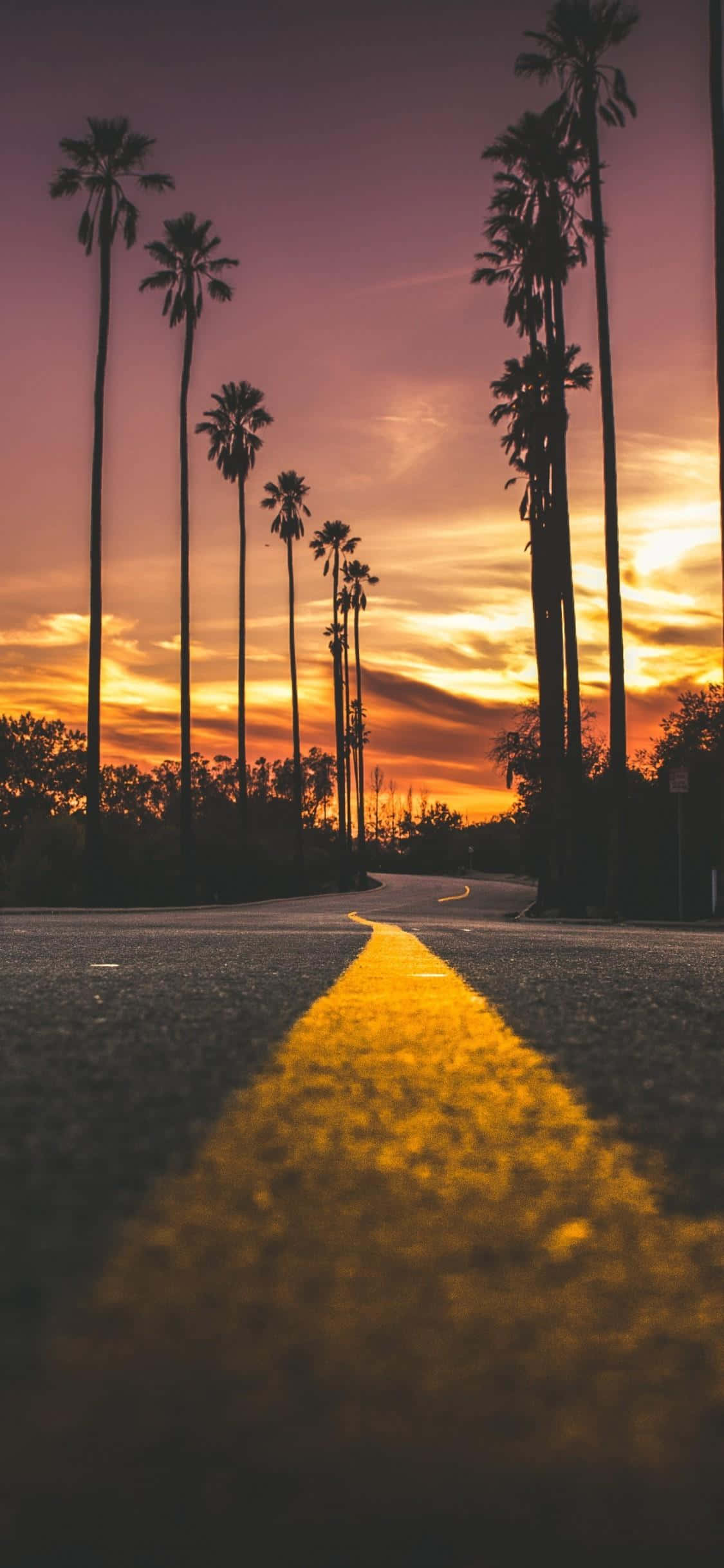Yellow Sunset, winding road, sunset, Full HD Phone Wallpaper