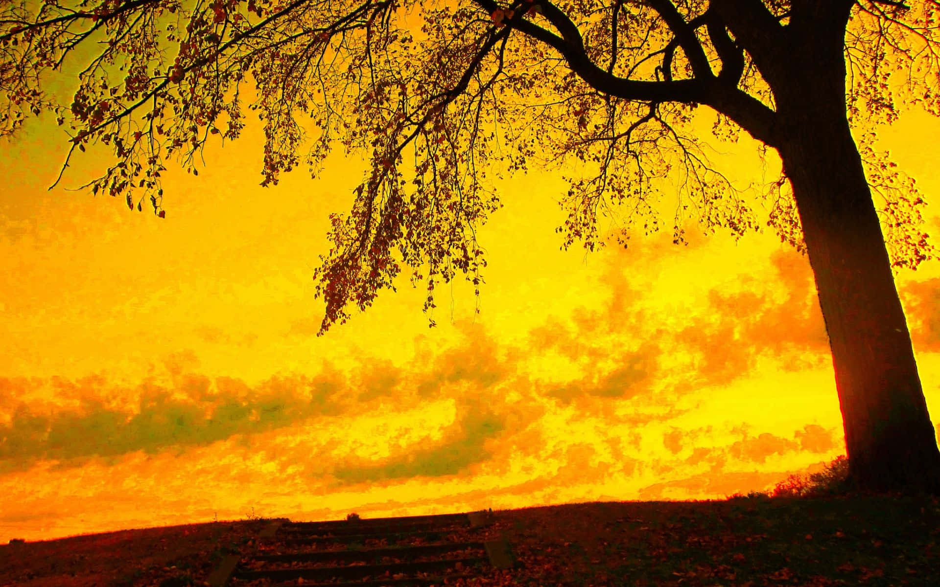 vivid yellow sky, sunset, fiery orange sunset sky, Full HD Desktop Wallpaper