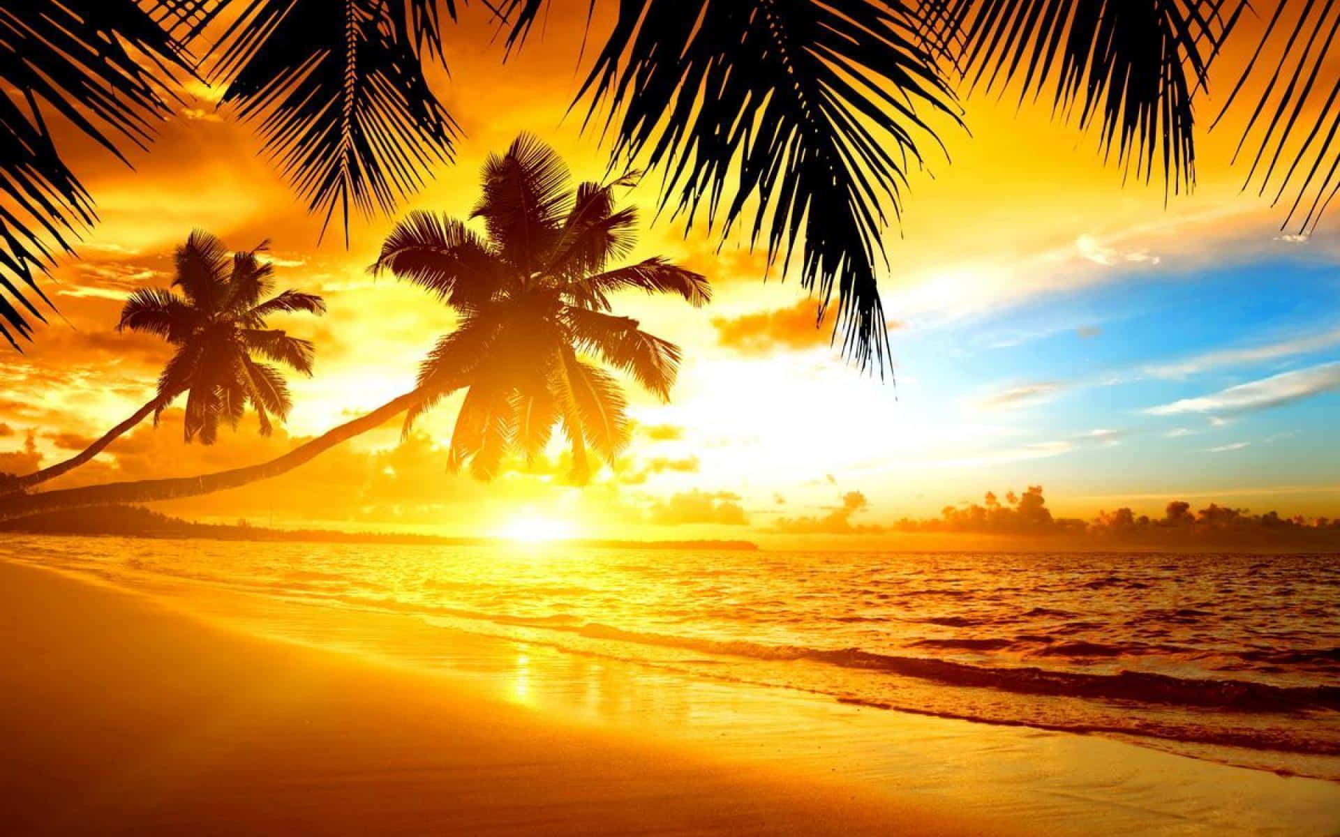 Tropical Sunset, yellow light, golden sunset, Full HD Desktop Wallpaper