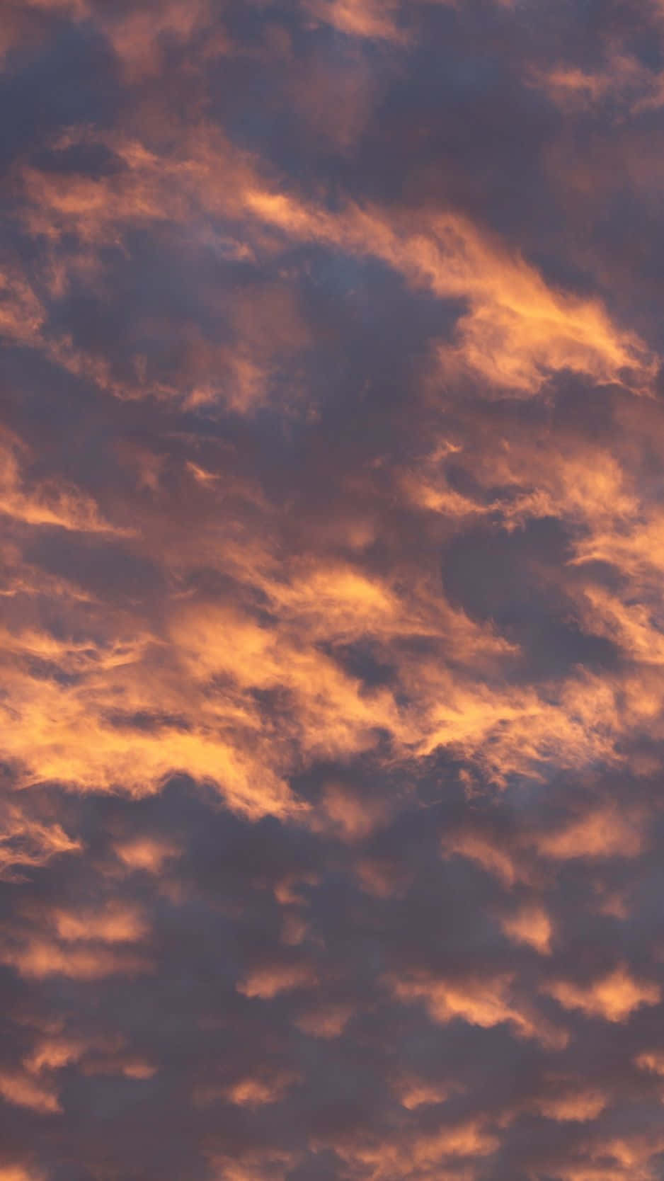 Yellow Sky, fiery orange glow, deep purple twilight sky, HD Phone Wallpaper