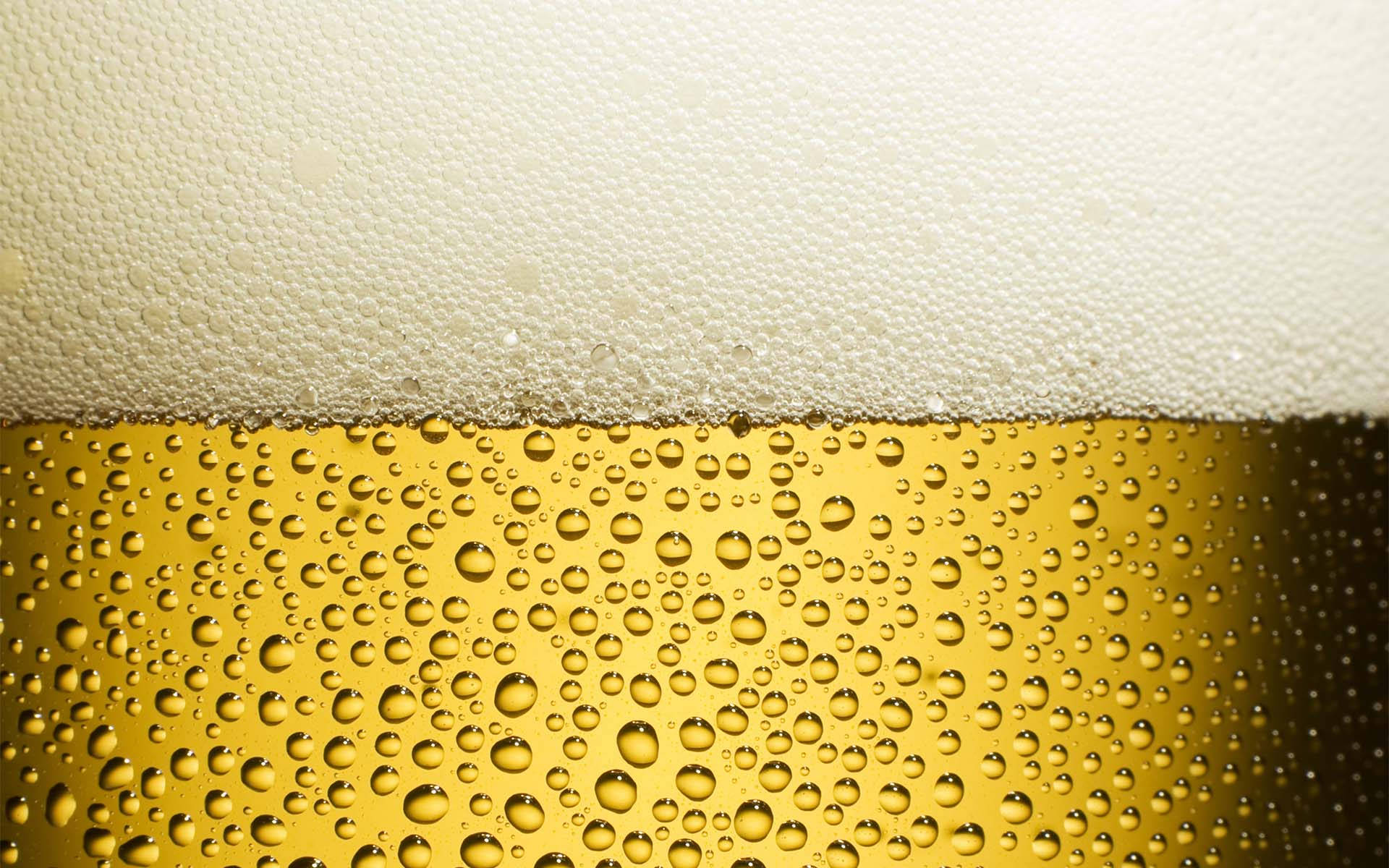 golden beer, condensation droplets, creamy white foam, Full HD Desktop Wallpaper
