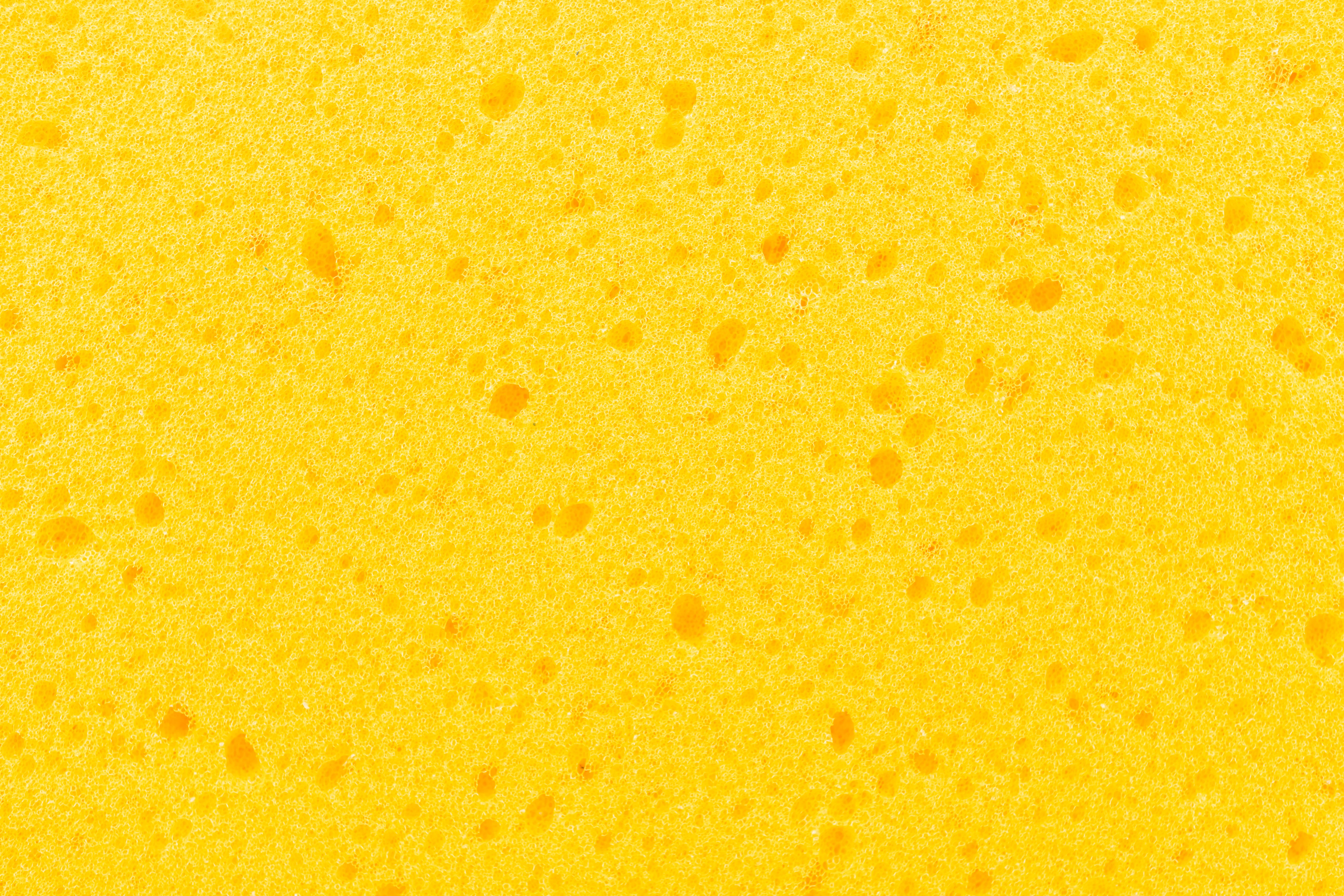 yellow, HD, sponge, 5K Desktop Wallpaper