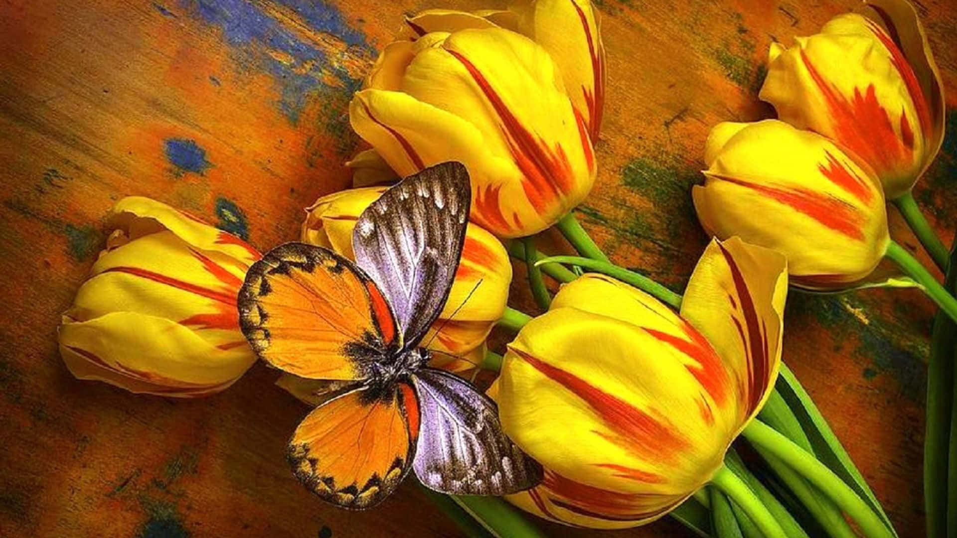 Yellow Tulips, vibrant butterfly, orange purple and black wings, Full HD Desktop Wallpaper