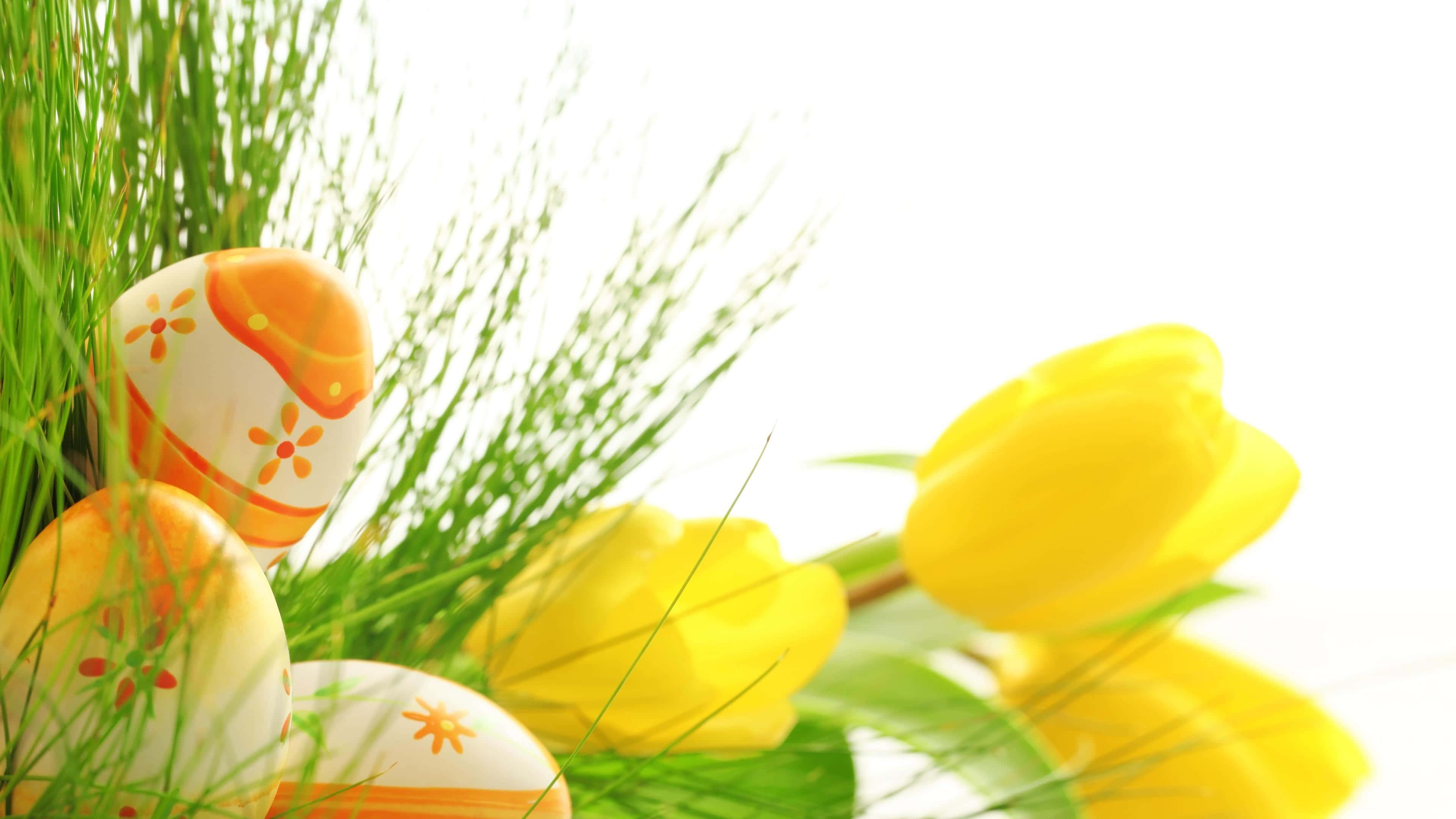 Yellow Tulips, Easter eggs, orange floral patterns, 4K Desktop Wallpaper