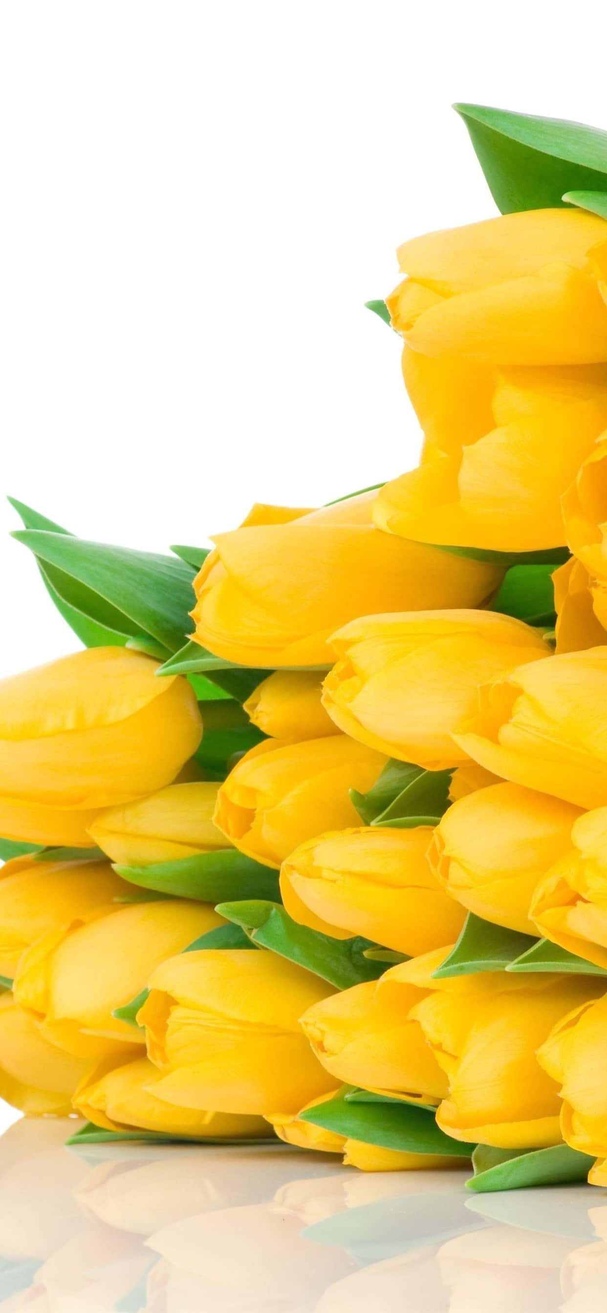 yellow tulips, bouquet, green leaves, 2K Phone Wallpaper