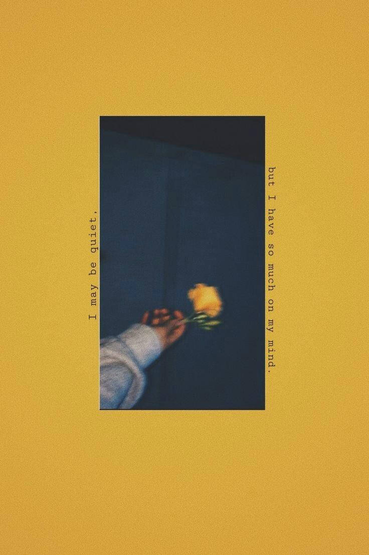 yellow rose, gray sweater, dark blue background, SD Phone Wallpaper