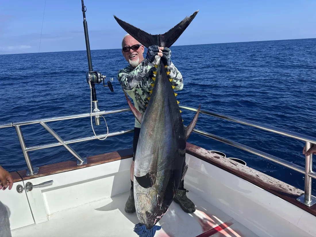 Yellowfin Tuna