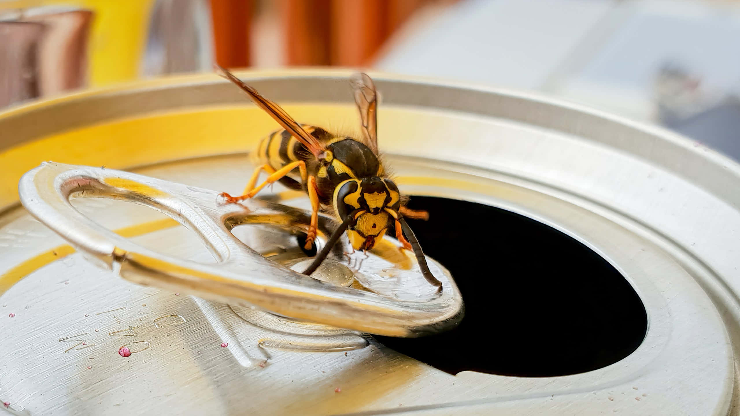 Yellowjacket, soda can, aluminum soda can, 2K Desktop Wallpaper