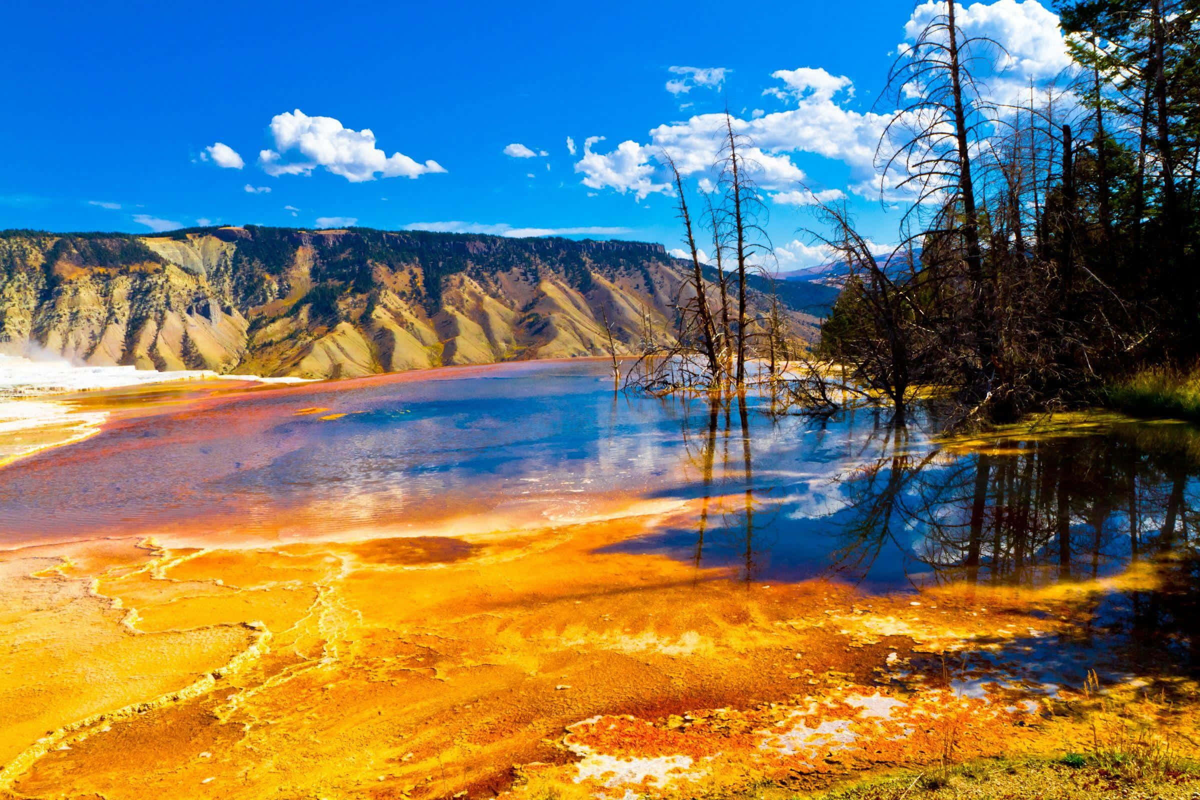 Yellowstone Geysers, turquoise hot spring, vibrant orange microbial mats, Full HD Desktop Wallpaper