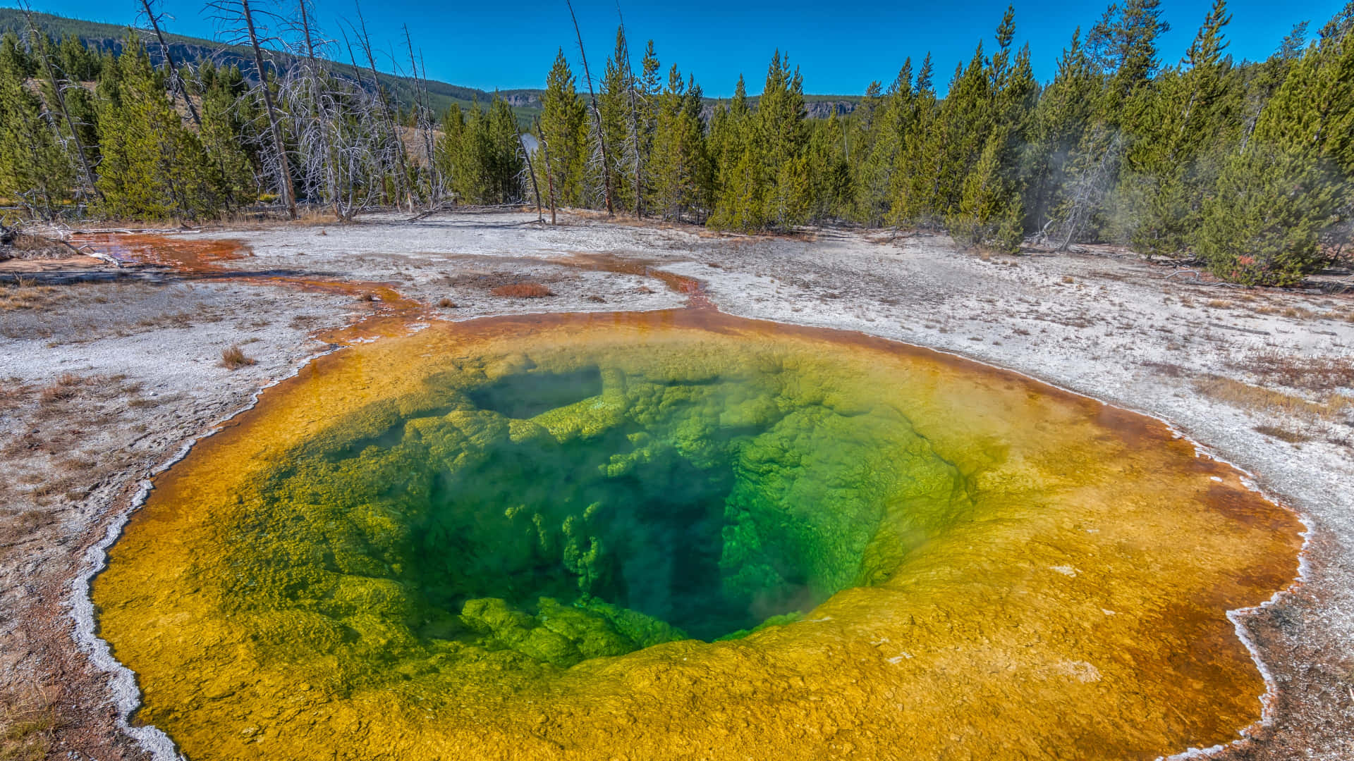 Yellowstone Geysers, turquoise hot spring, golden mineral rings, Full HD Desktop Wallpaper