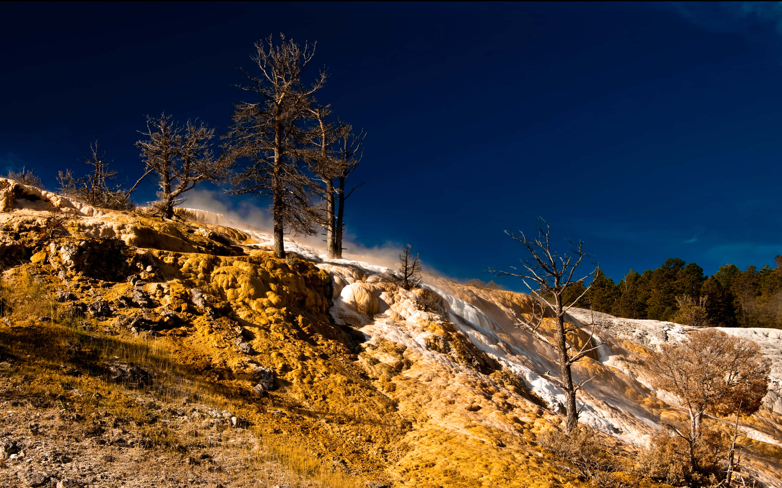 Yellowstone, vibrant yellow sulfur hillside, steam, 2K Desktop Wallpaper