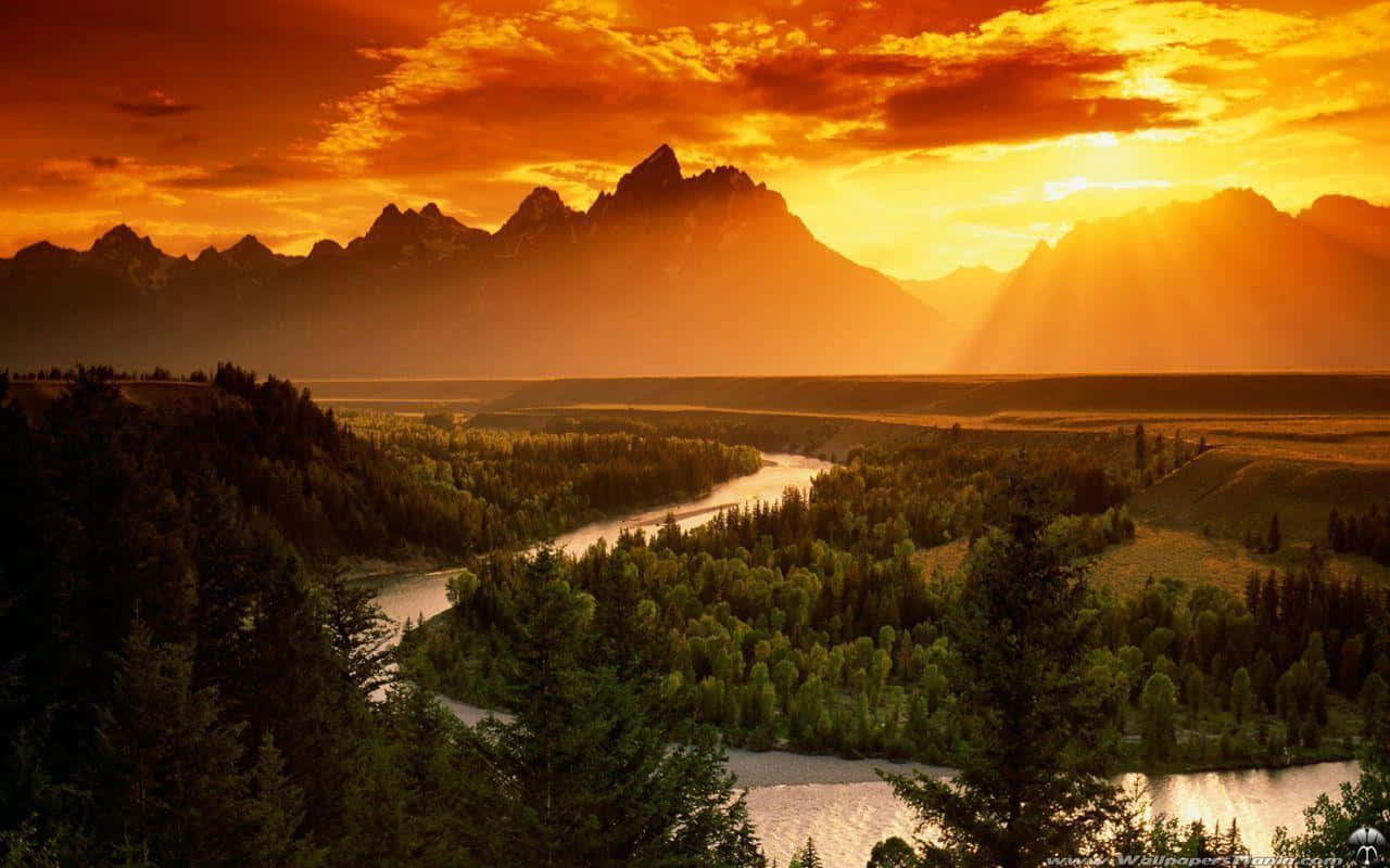Yellowstone National Park, river, forested valley, HD Desktop Wallpaper